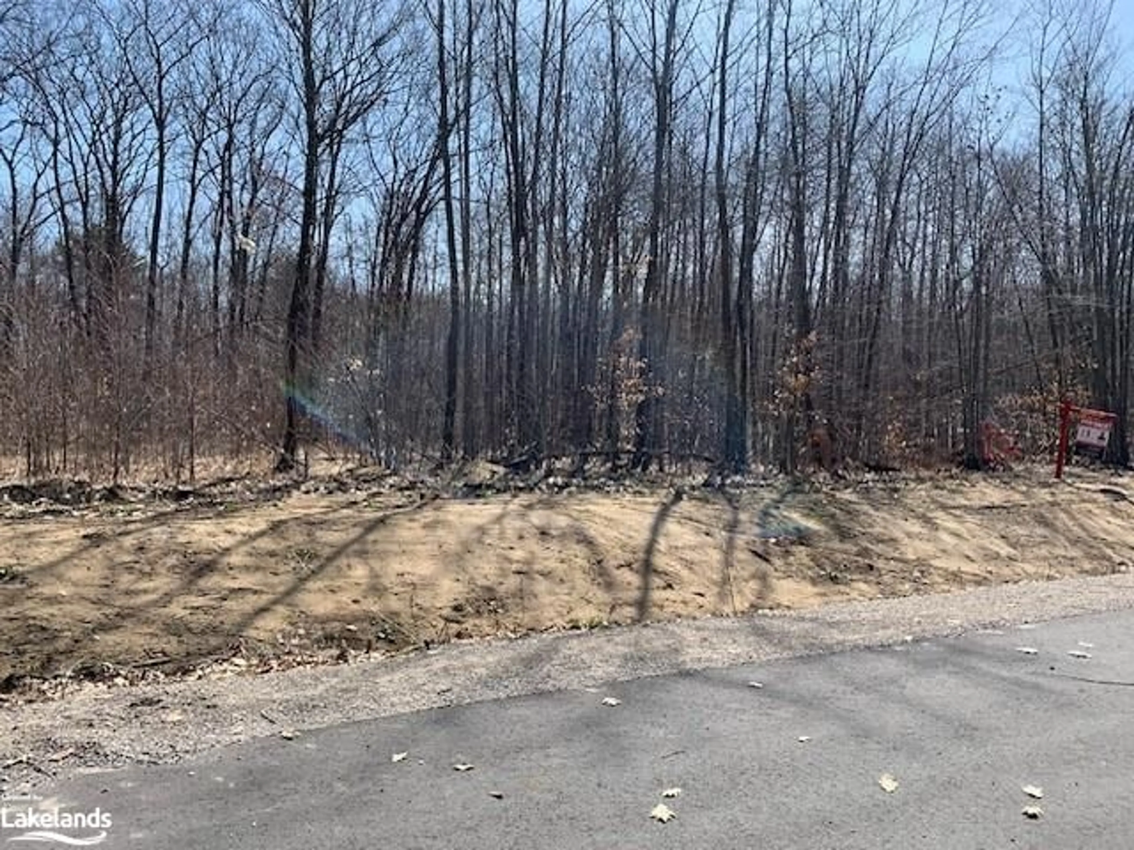 Forest view for LOT 67 Whispering Pine Cir, Tiny Ontario L9M 0C1