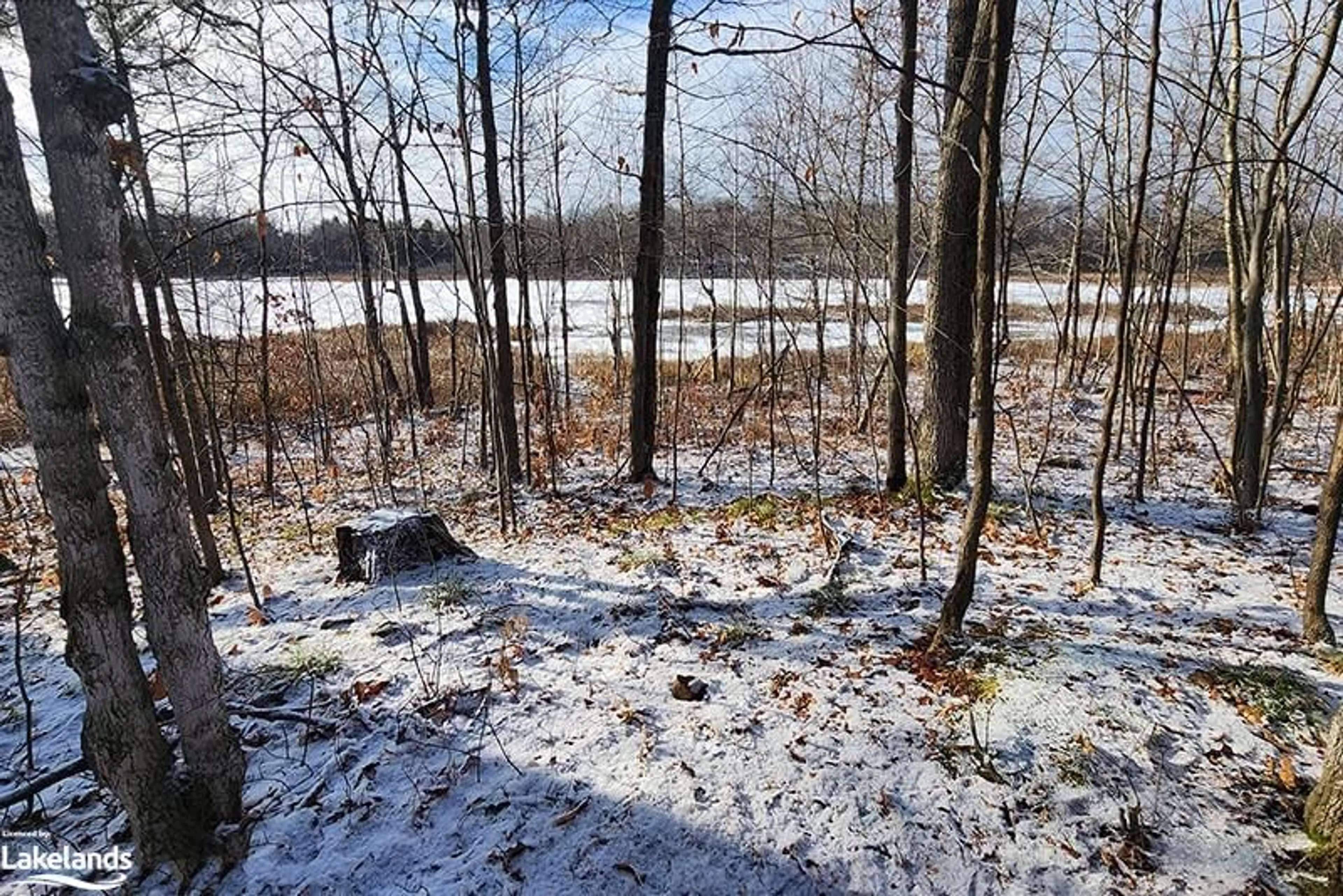 Forest view for 3857 Darling Island Rd, Severn Ontario L0K 1S0