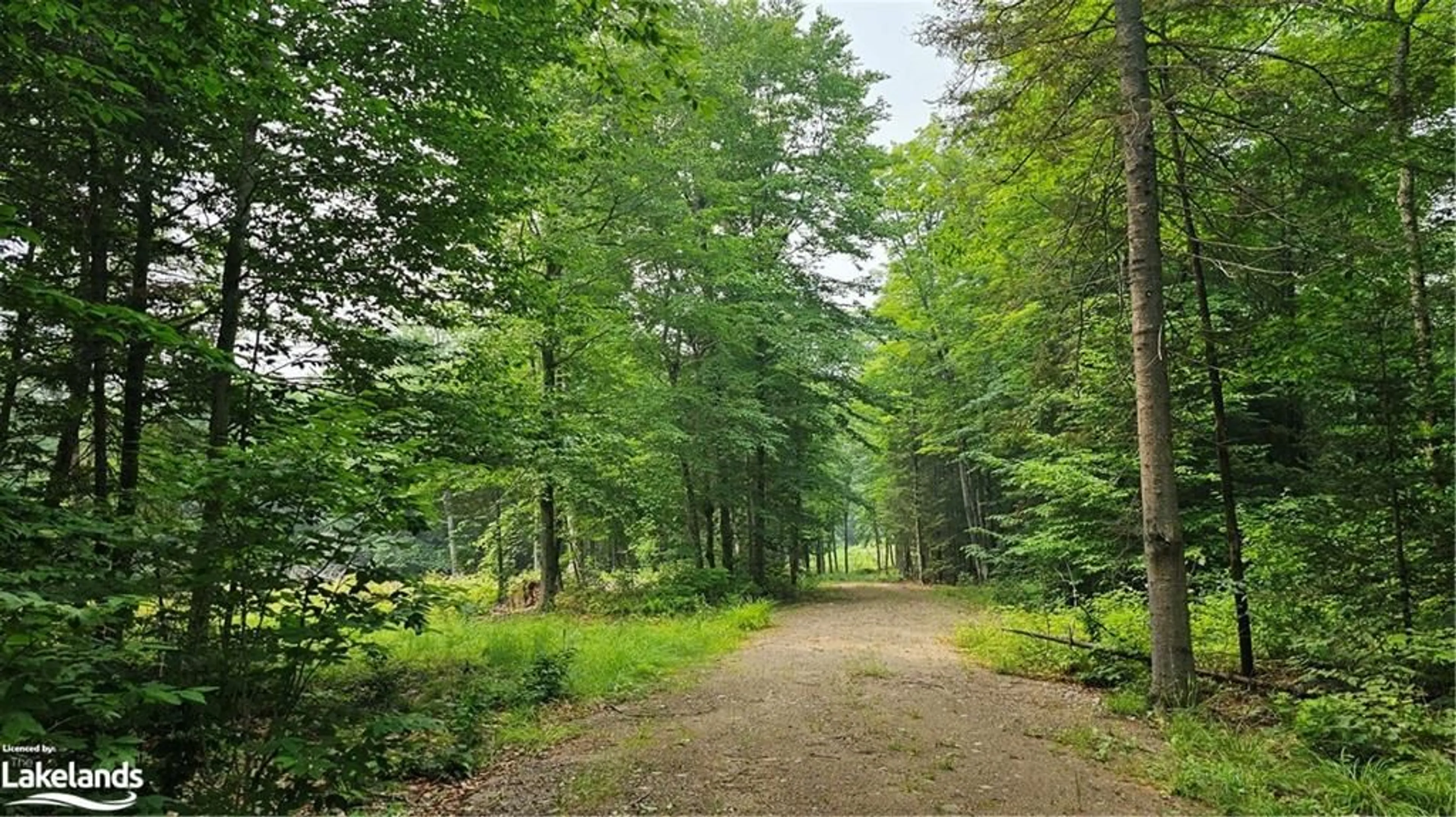 Forest view for 0 Lynch Lake Rd, Sundridge Ontario P0A 1Z0