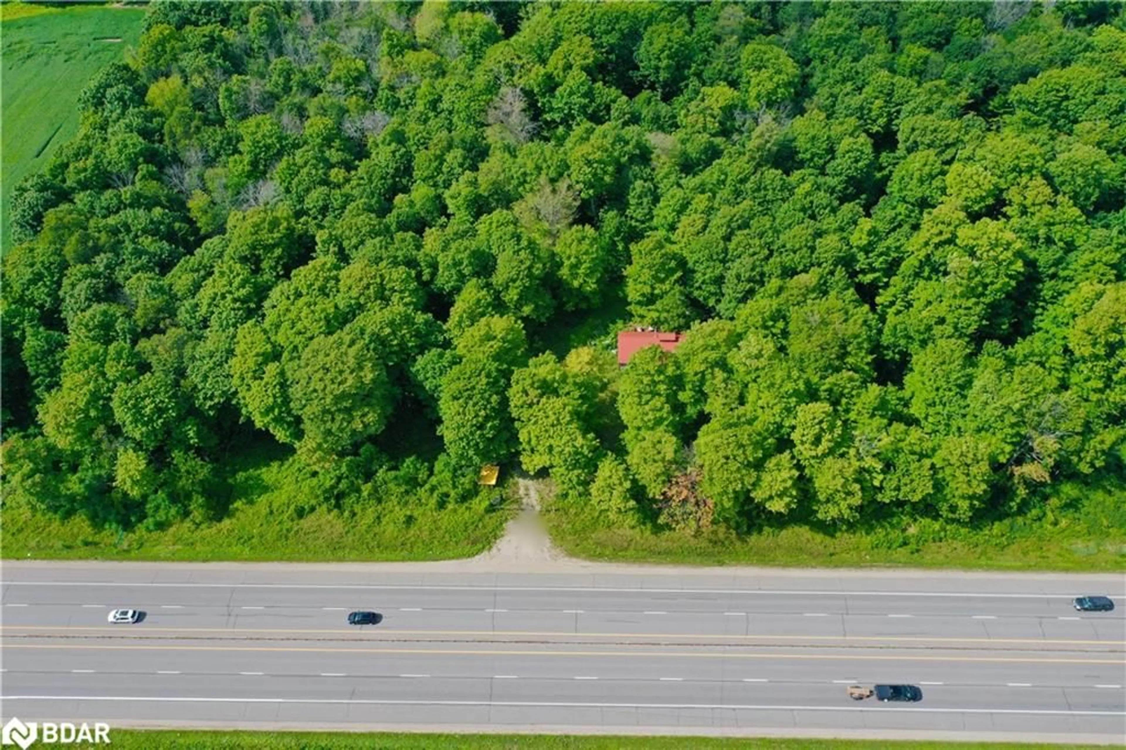 Forest view for 1936 Highway 11, Oro-Medonte Ontario L0L 2L0