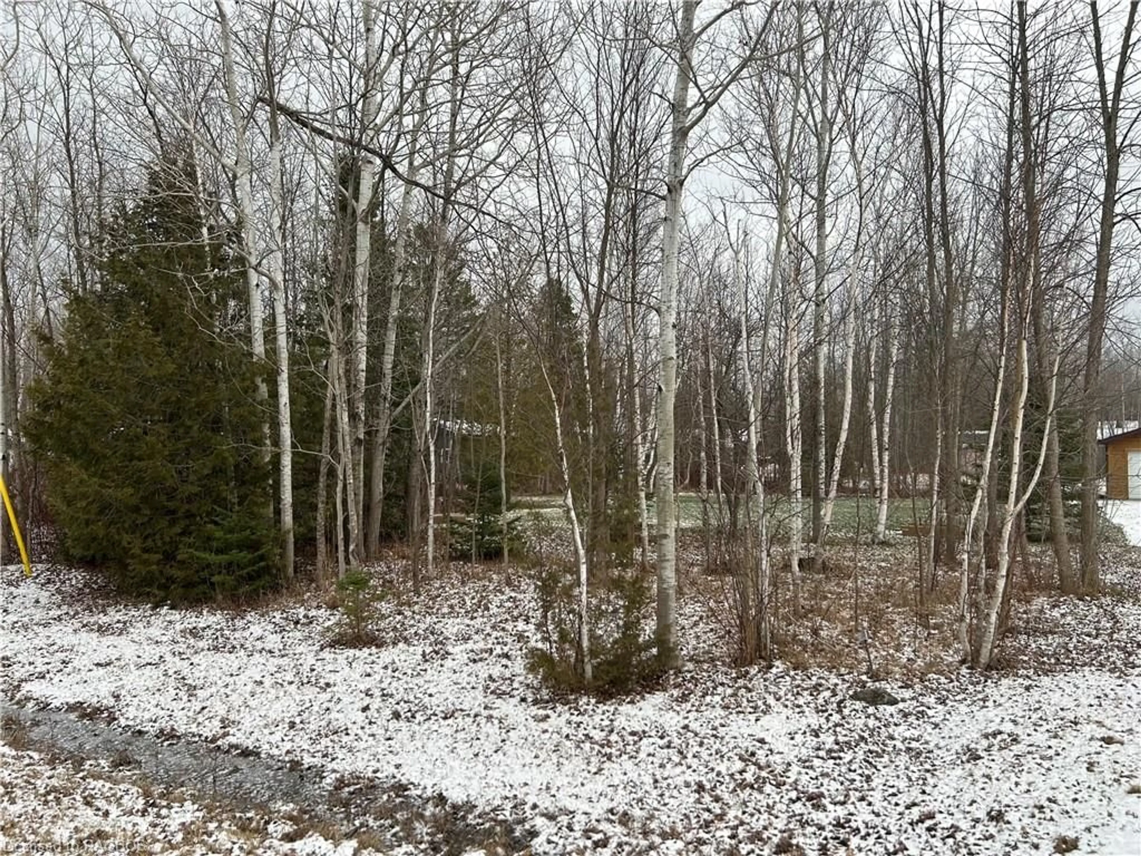Forest view for PT 7 PART LOT 2 Maple Dr, Northern Bruce Peninsula Ontario N0H 1Z0