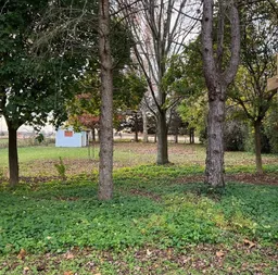 history photo preview