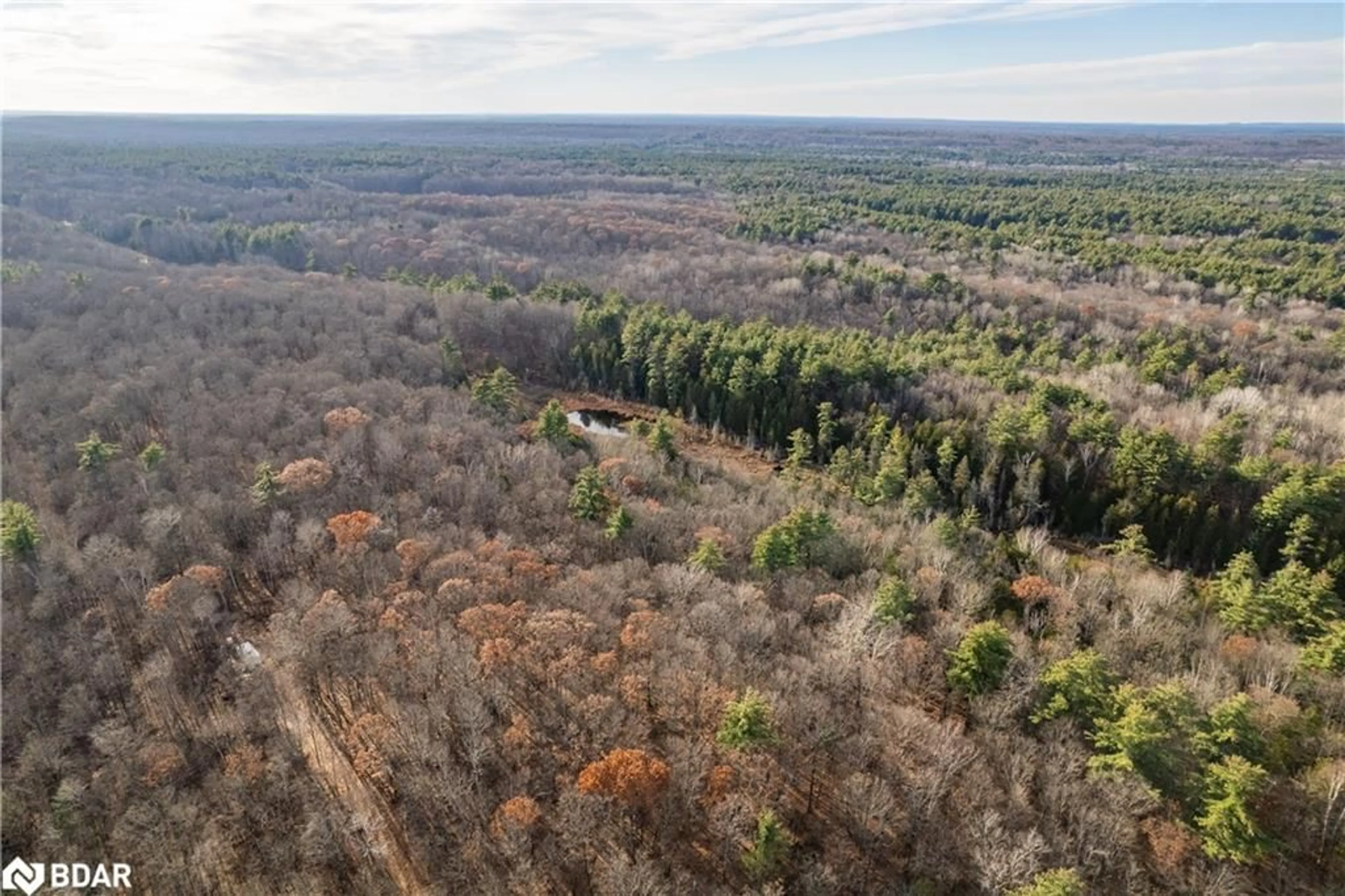 Forest view for 0 Highway 41, Addington Highlands Ontario K0H 1Z0