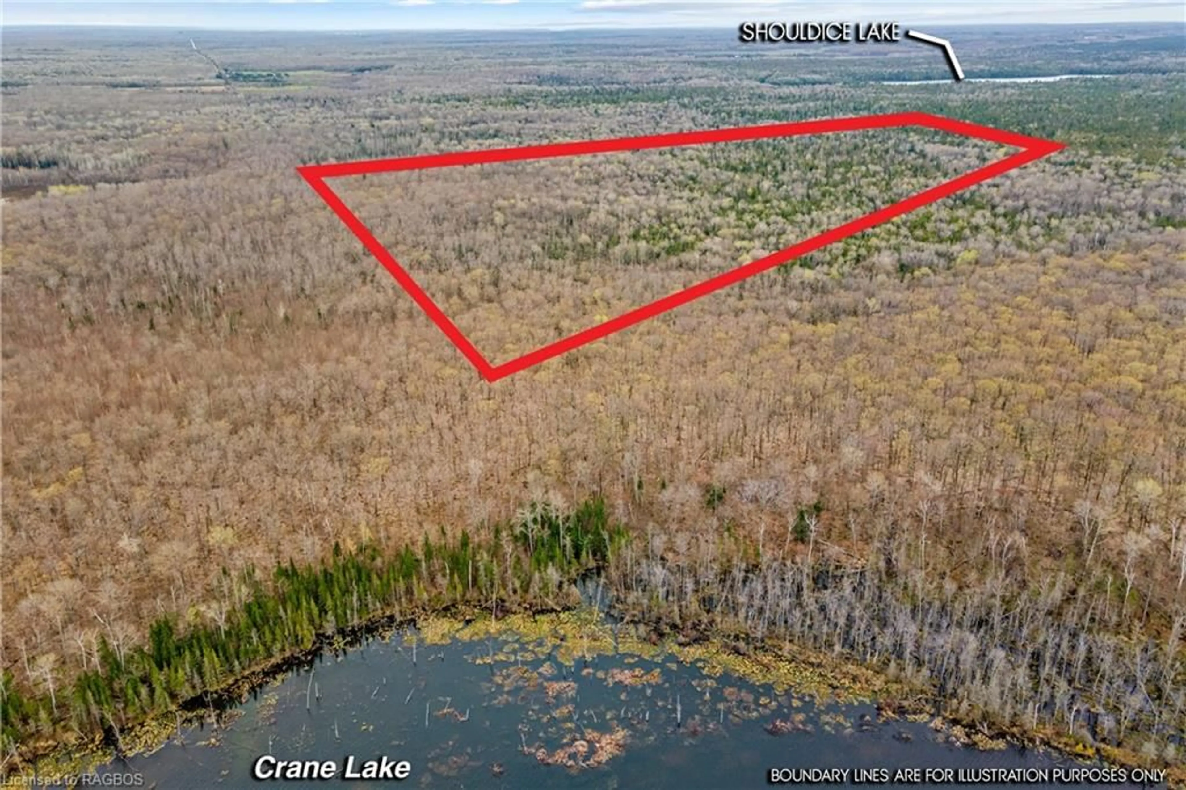 Forest view for LOT 41 & 42 4 Conc, Northern Bruce Peninsula Ontario N0H 1Z0