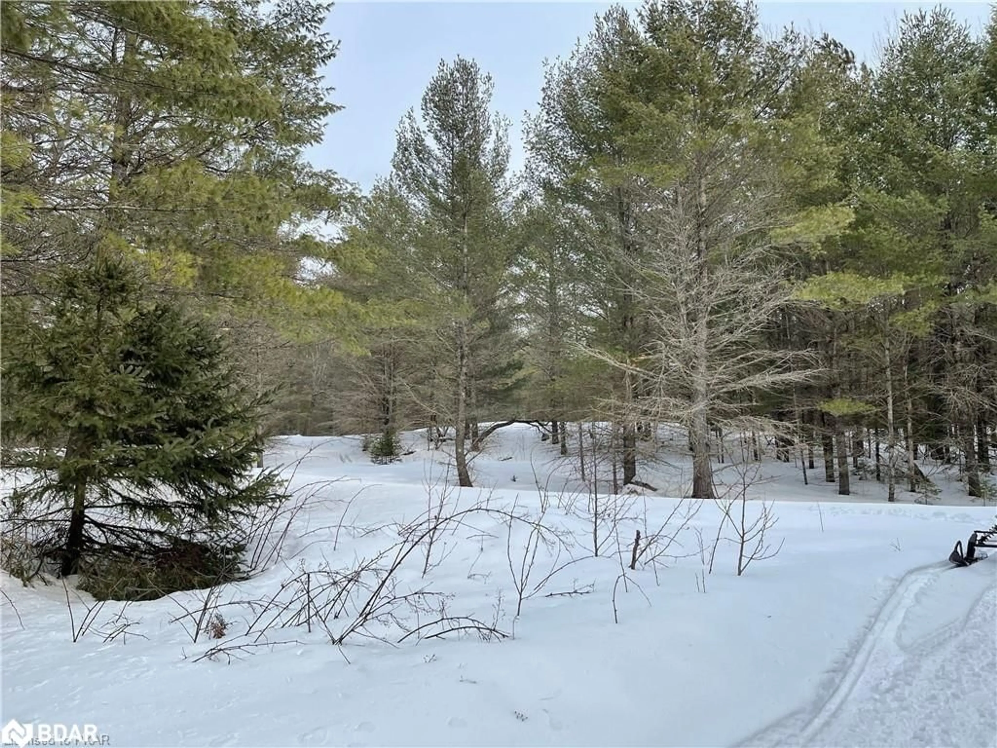 Forest view for LOT 3- N/A Hadlington Rd, Highlands East Ontario K0L 2Y0
