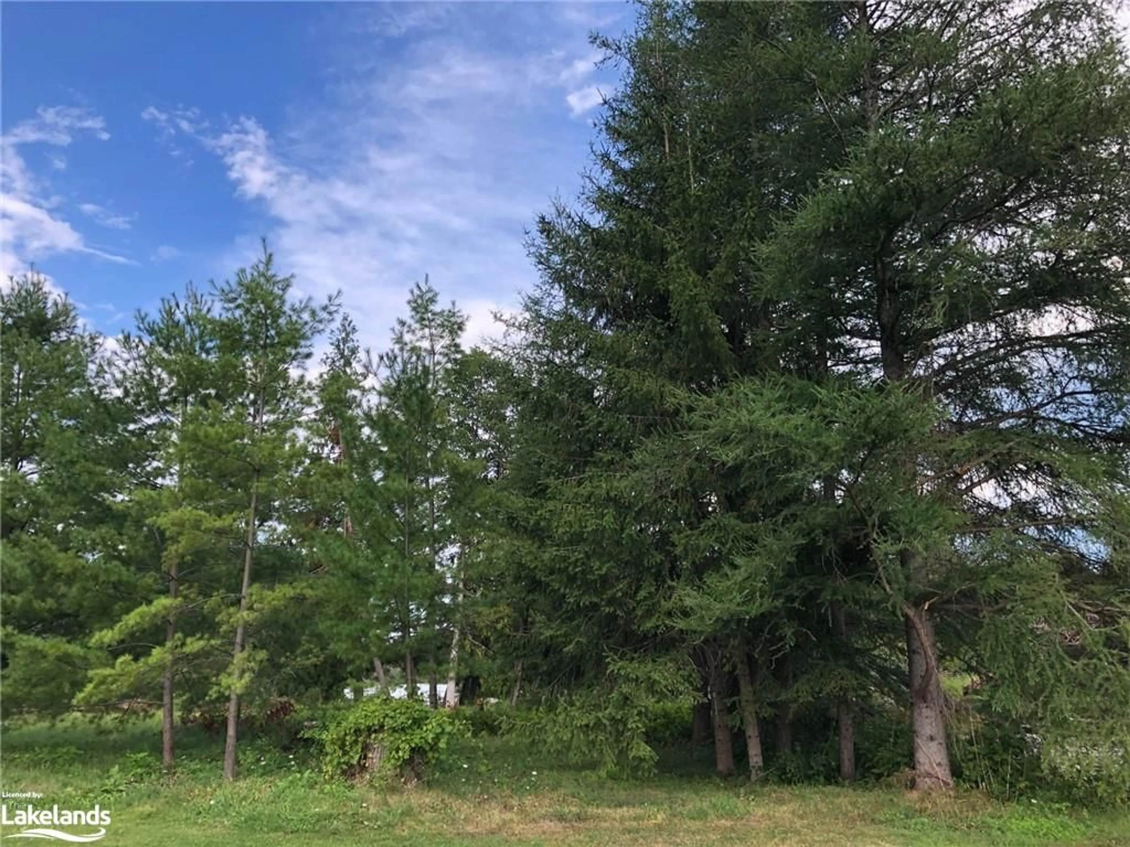 Forest view for 513 Sawmill Rd, Warsaw Ontario K0L 2H0
