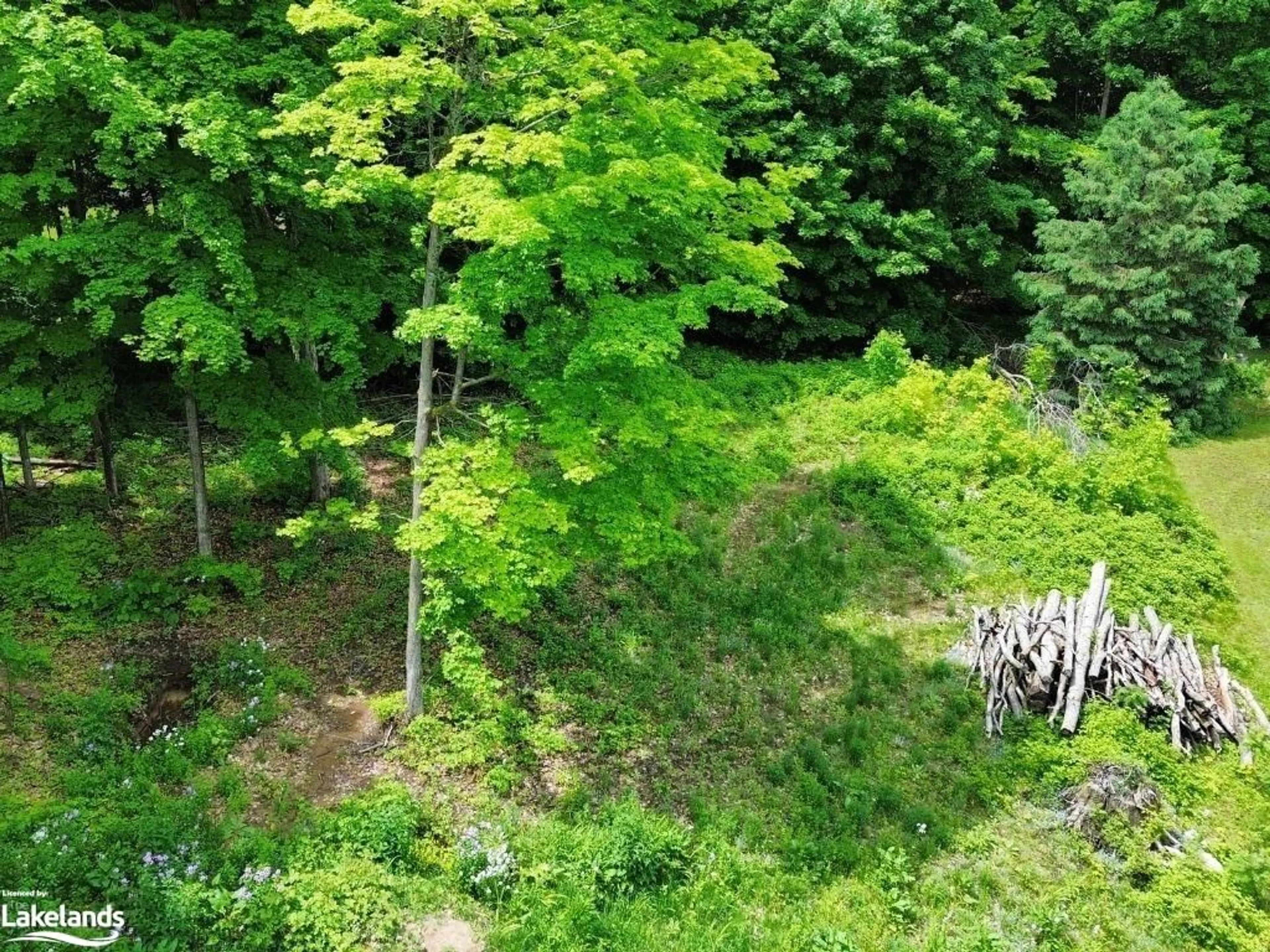 Forest view for LOT 12 Lakeview Cres, Tiny Ontario L9M 1R2