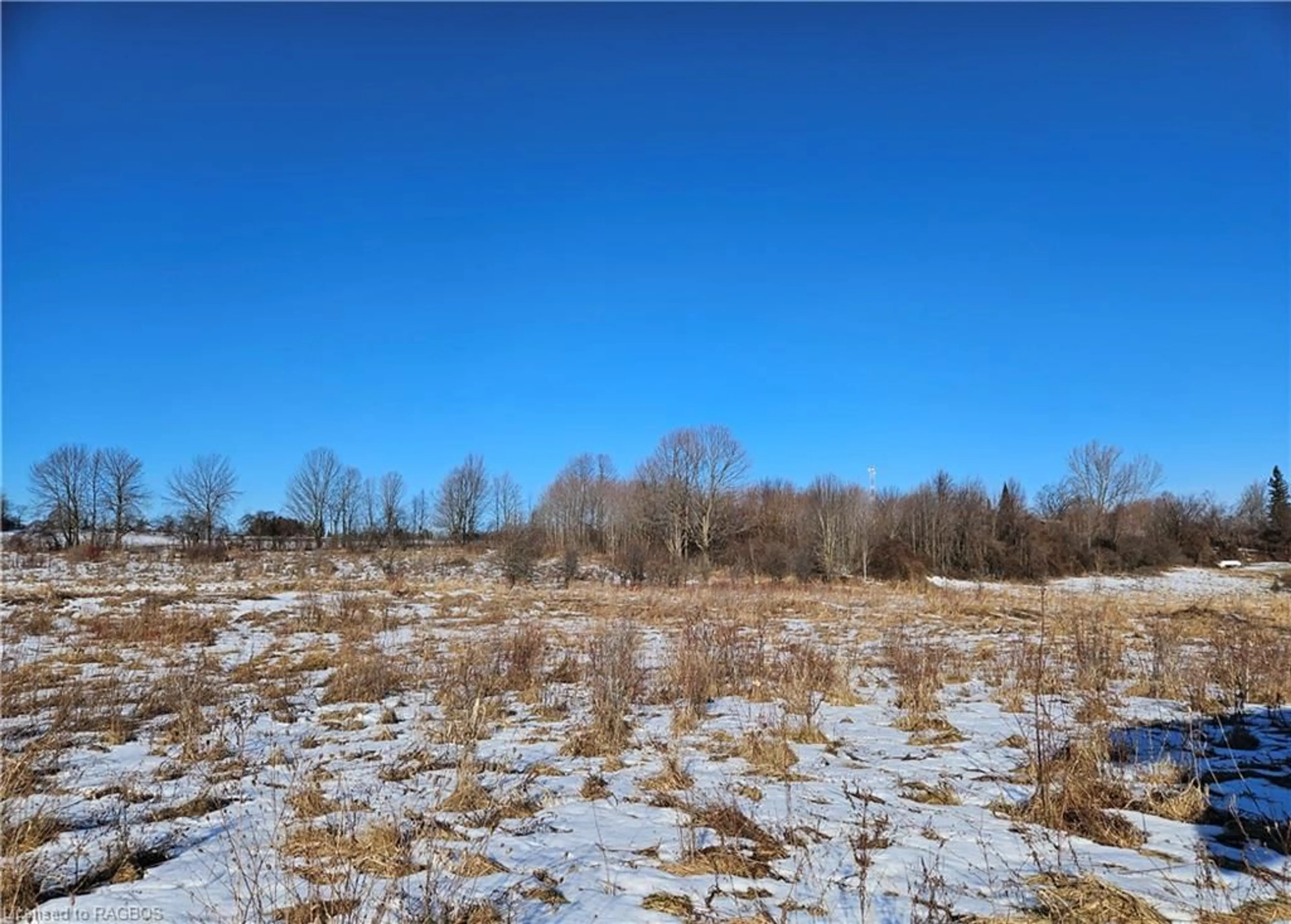 Forest view for LT 4 PL 16 Concession 11 Ndr, Meaford Ontario N4K 5N8