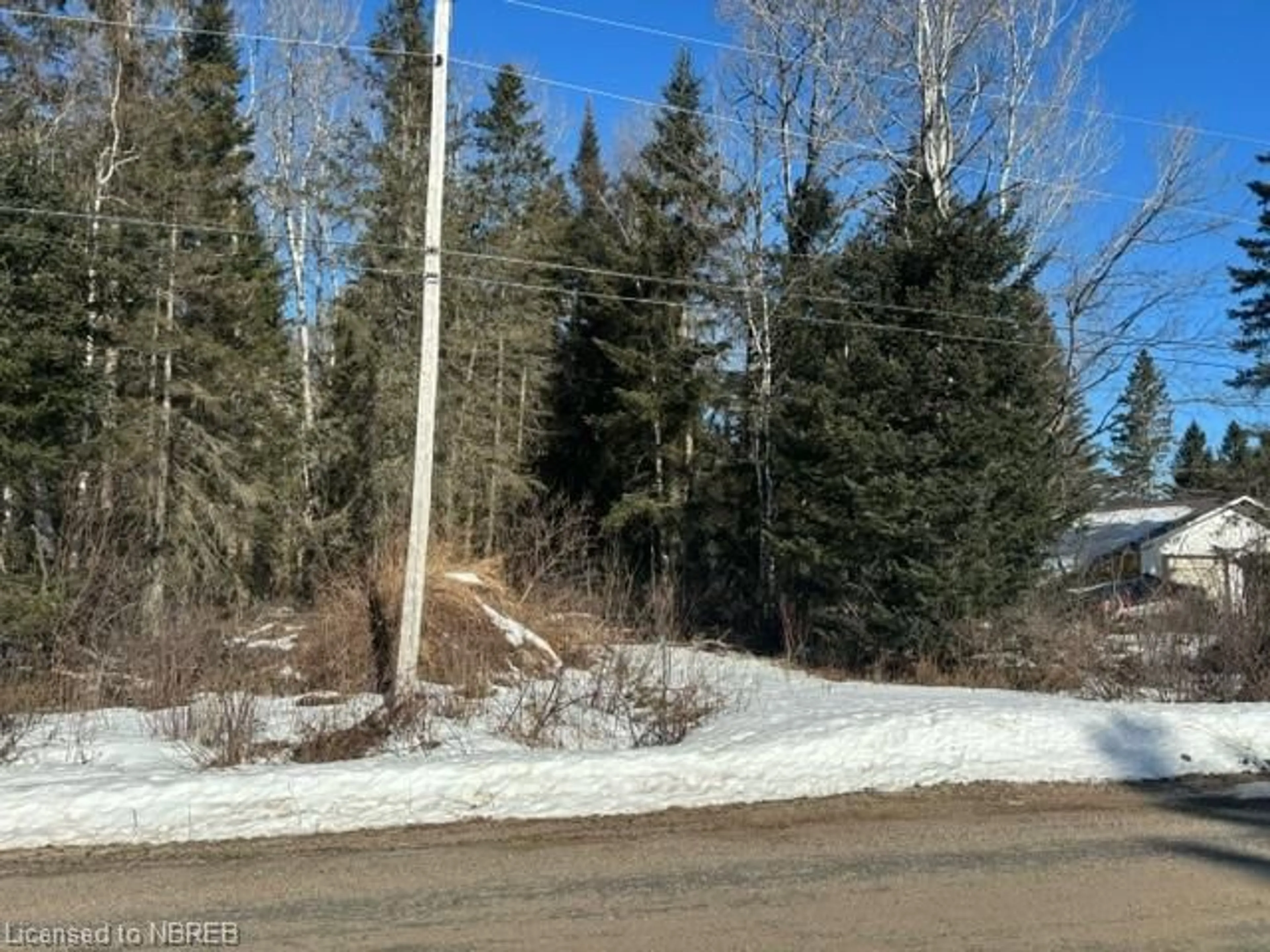 Forest view for 508 Sweezey St, Trout Creek Ontario P0H 2L0