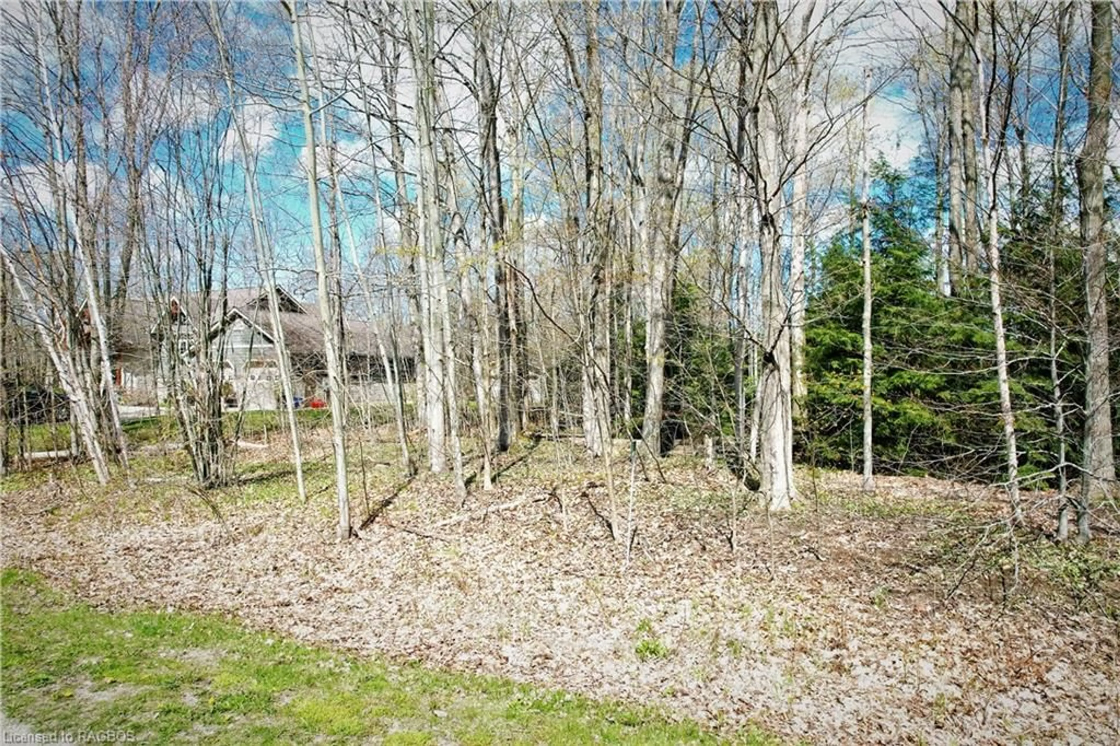 Fenced yard for 63 Graham Cres, Sauble Beach Ontario N0H 2G0