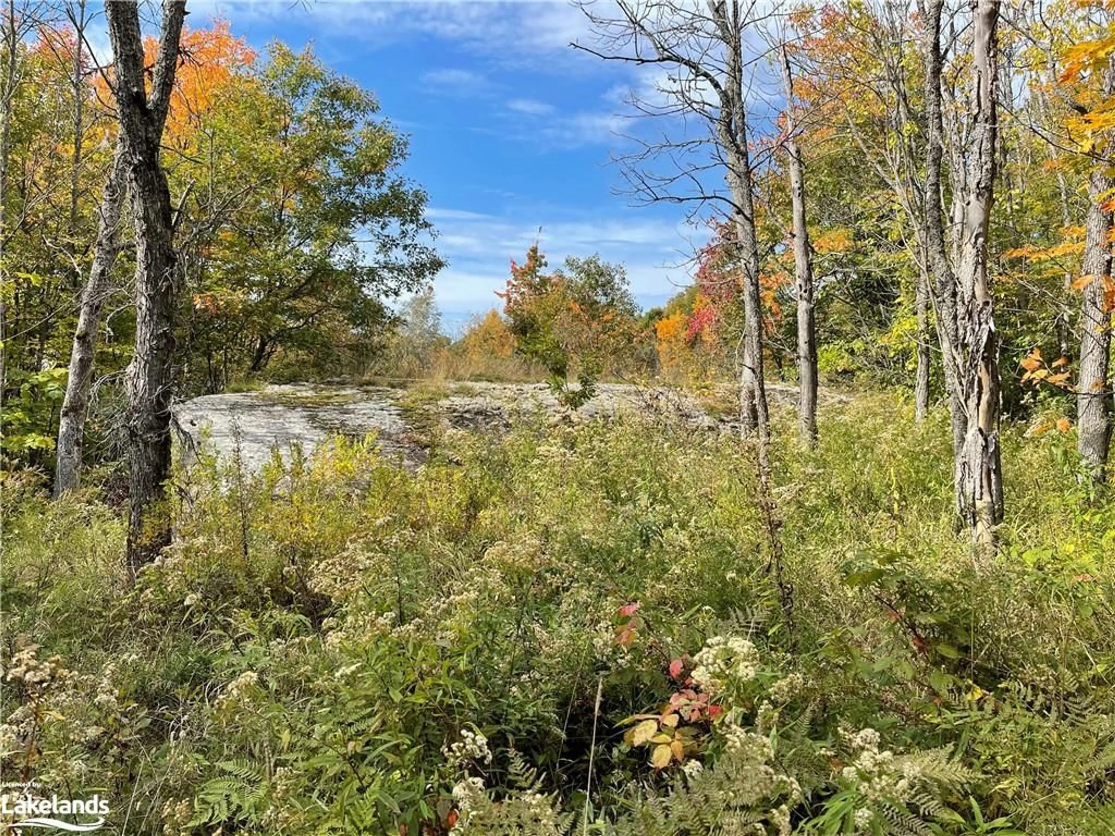 Forest view for 93 Shawanaga River, Whitestone Ontario P0A 1G0
