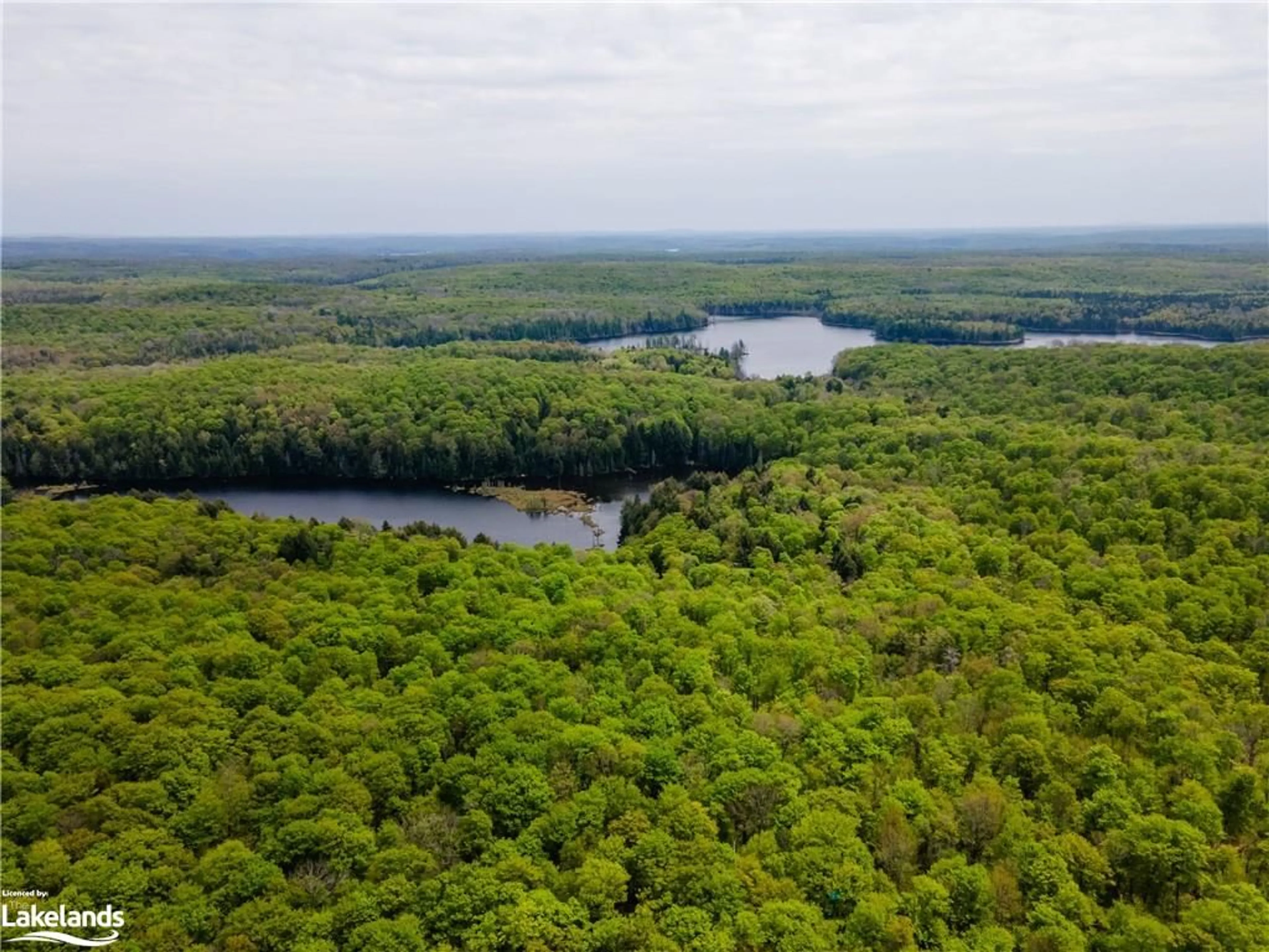 Forest view for LOT 109 Basshaunt Lake Rd, Haliburton Ontario K0M 1S0
