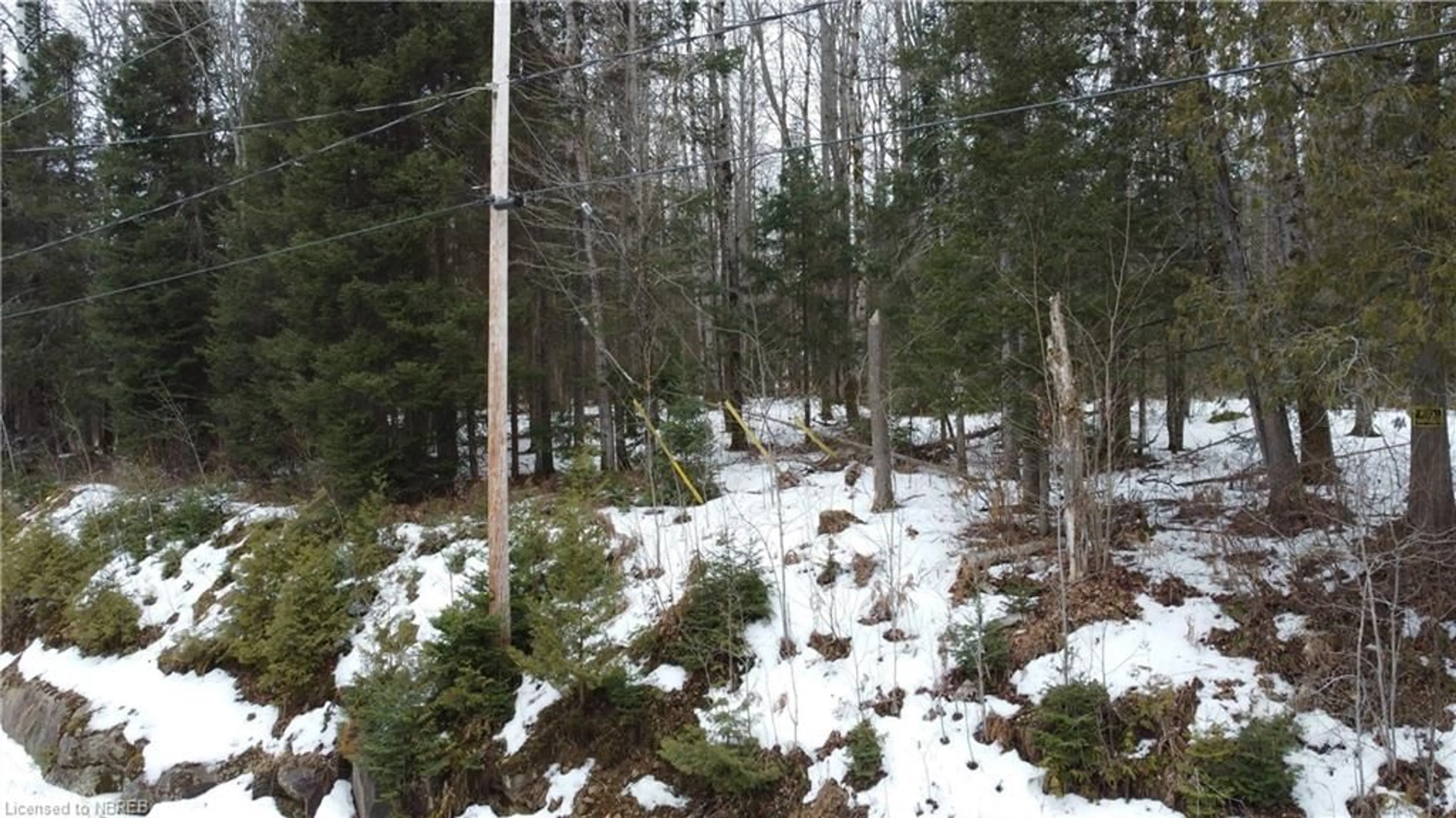 Forest view for LOT 14 Riverside Dr, Bonfield Ontario P0H 1E0
