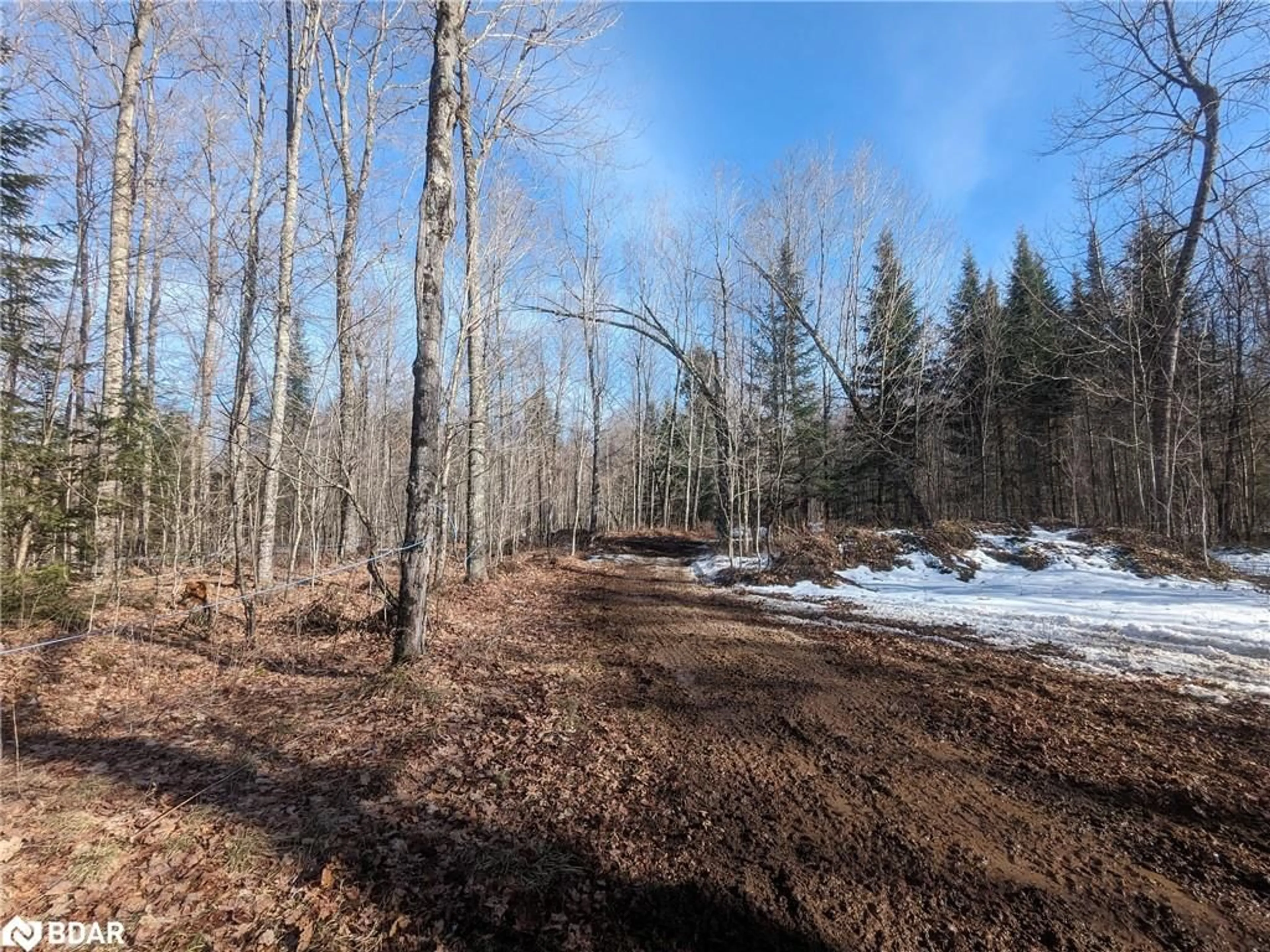 Forest view for 11146 Hwy 118 Hwy, Stanhope Ontario K0M 1J1