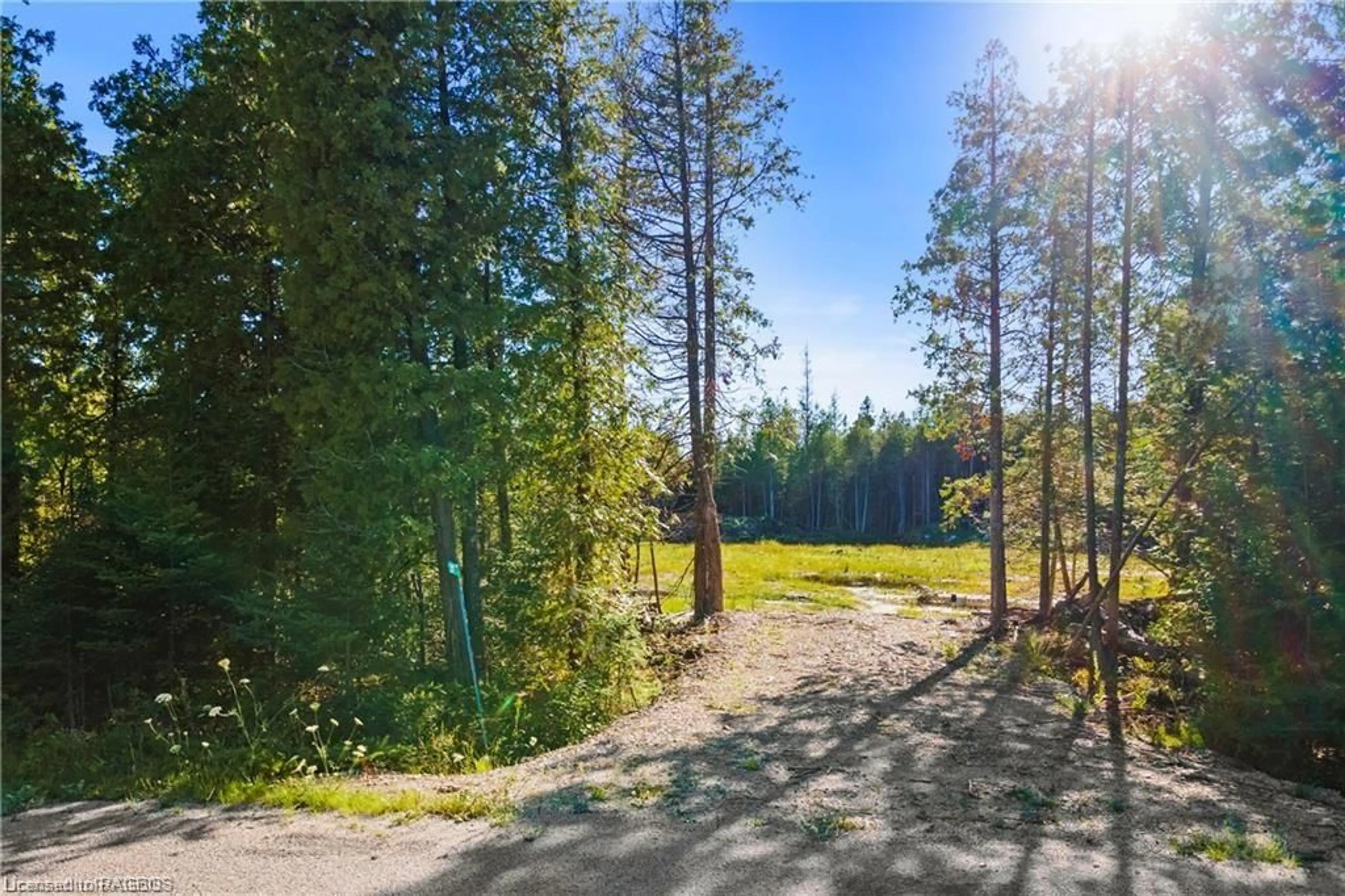 Forest view for 30 Huron Park Rd, Northern Bruce Peninsula Ontario N0H 1W0