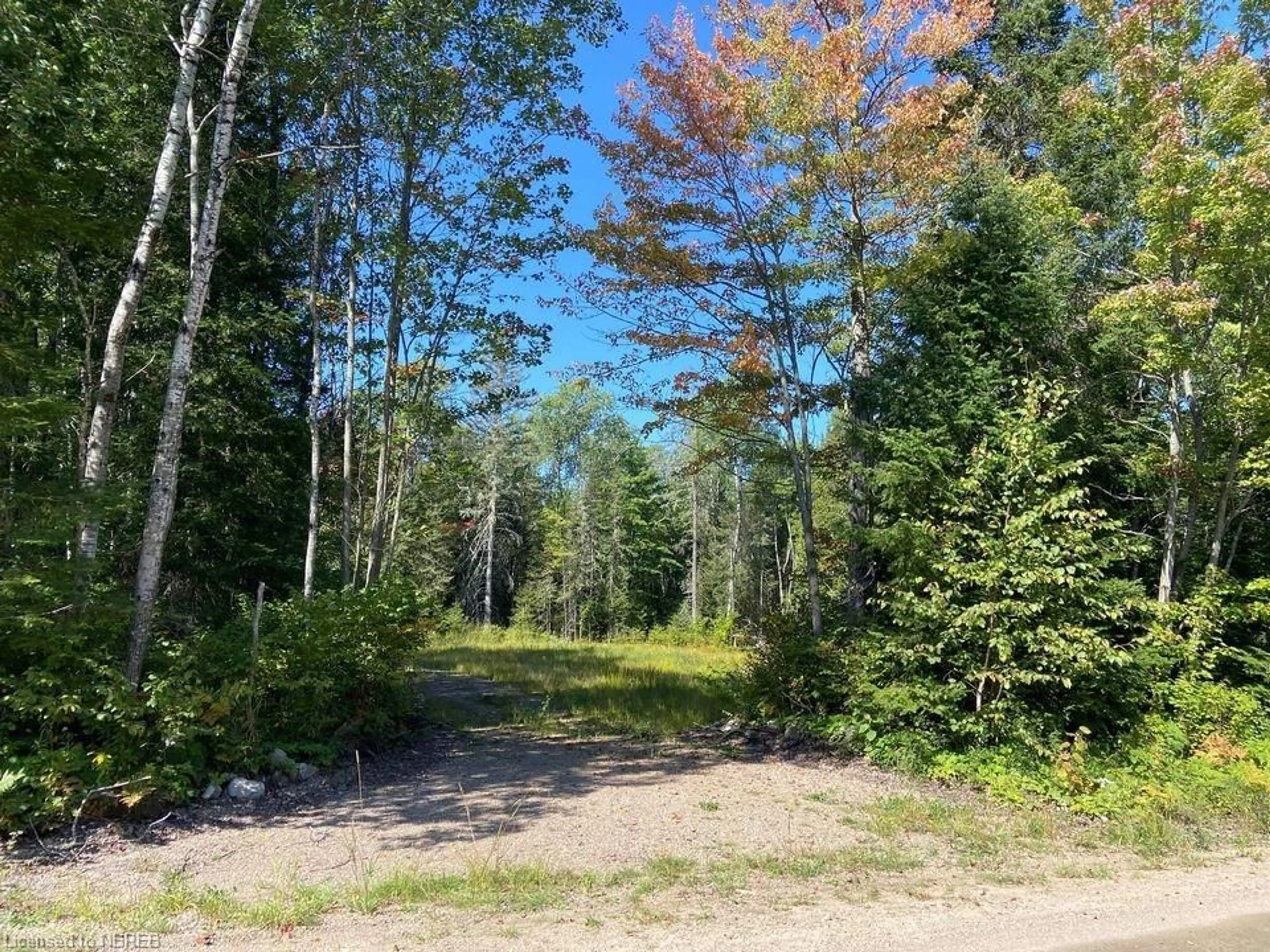 Forest view for PT 1 LOT 1 CON  Boundary Rd, Mattawa Ontario P0H 1V0
