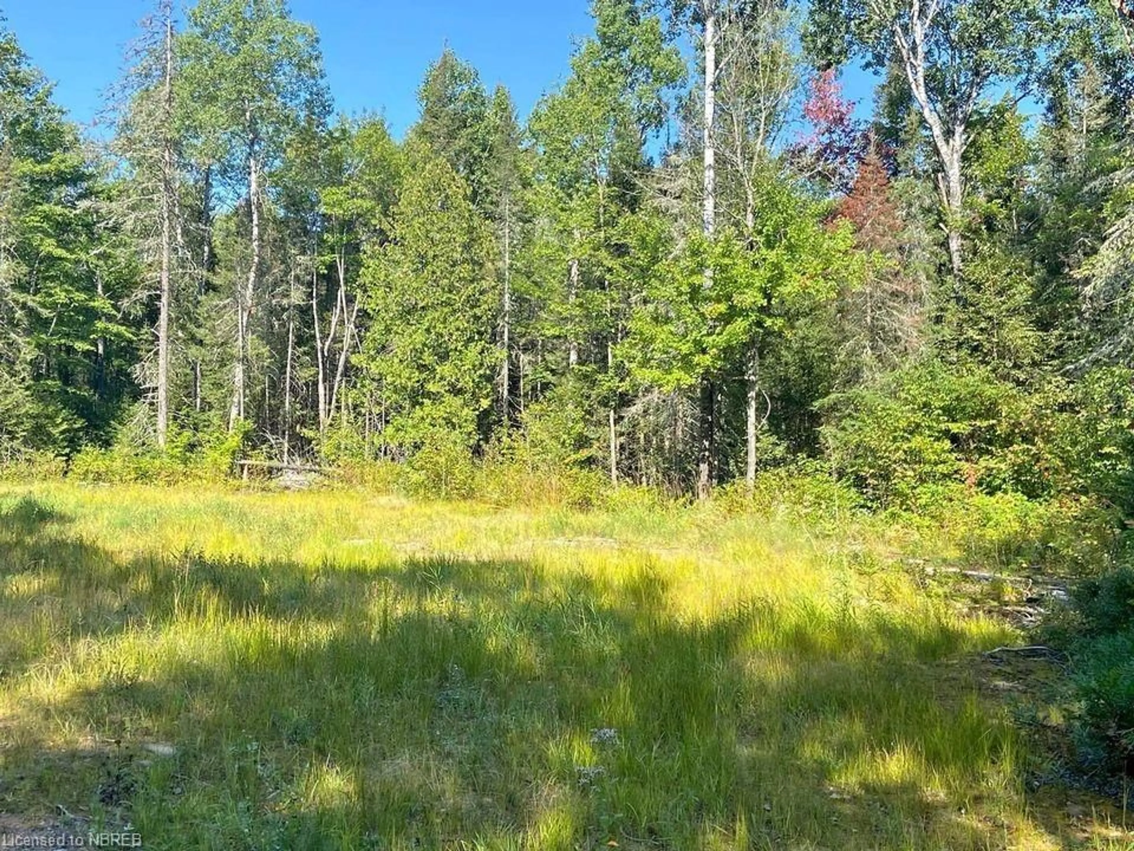 Forest view for PT 1 LOT 1 CON  Boundary Rd, Mattawa Ontario P0H 1V0