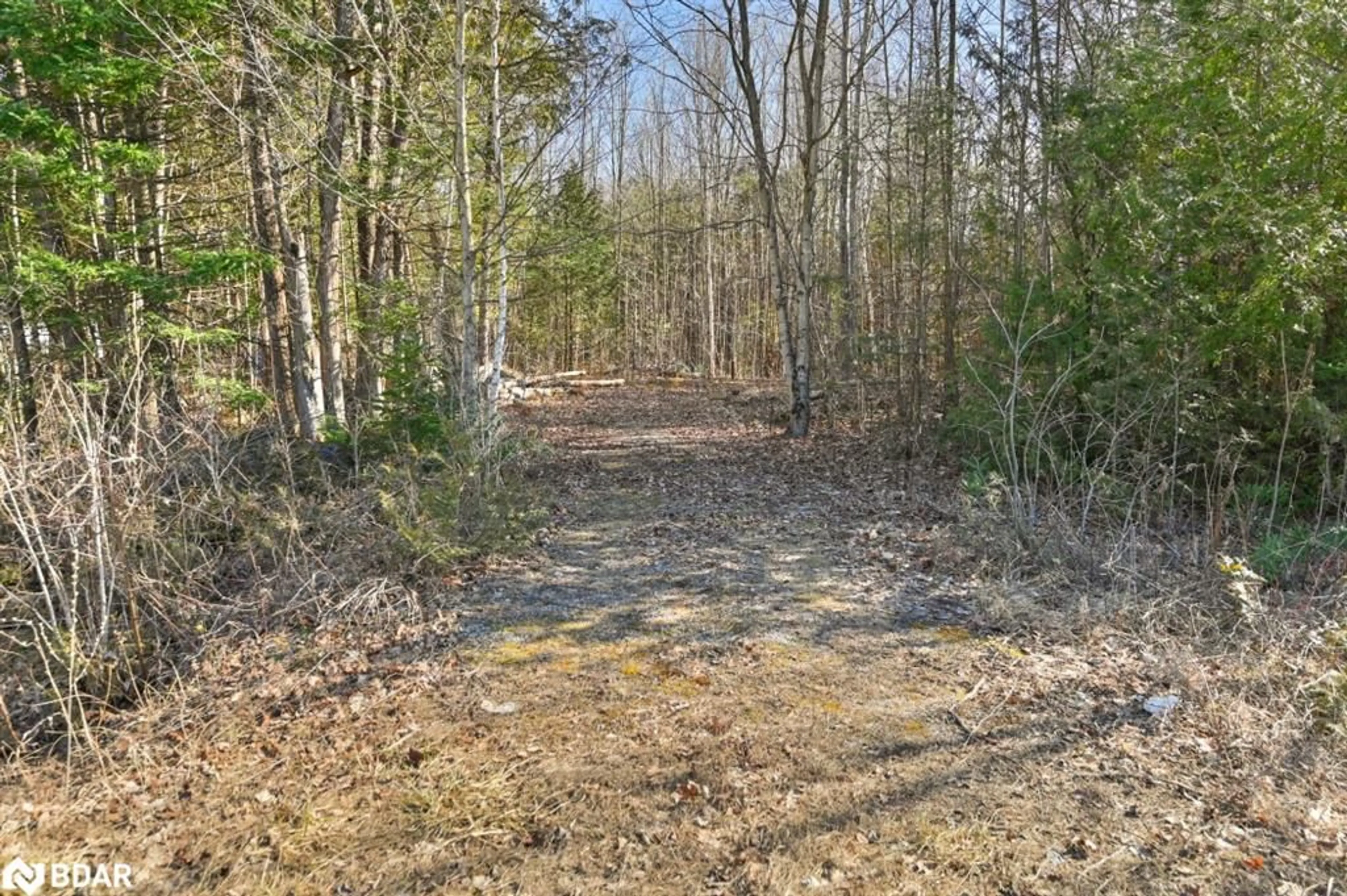 Forest view for 0 Quin Mo Lac Rd, Madoc Ontario K0K 2K0