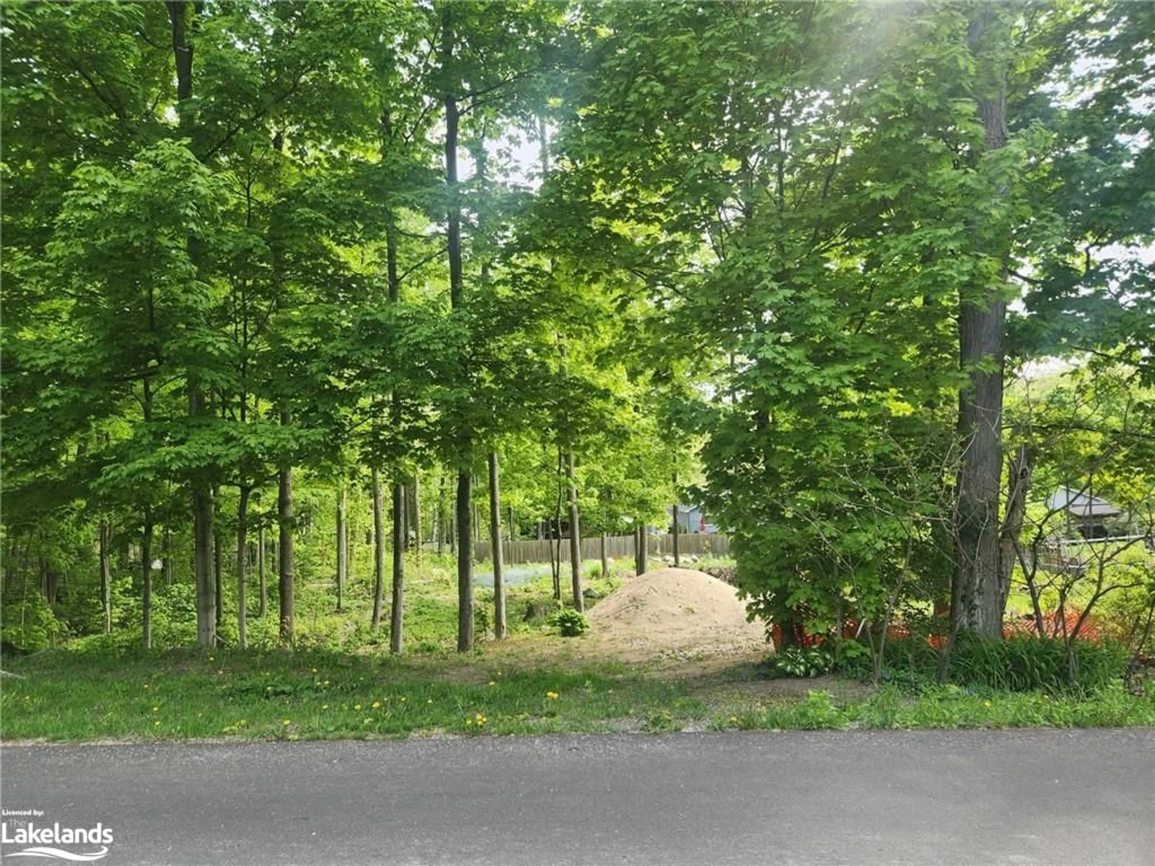 Forest view for 81 Polish Ave, Penetanguishene Ontario L9M 1W8