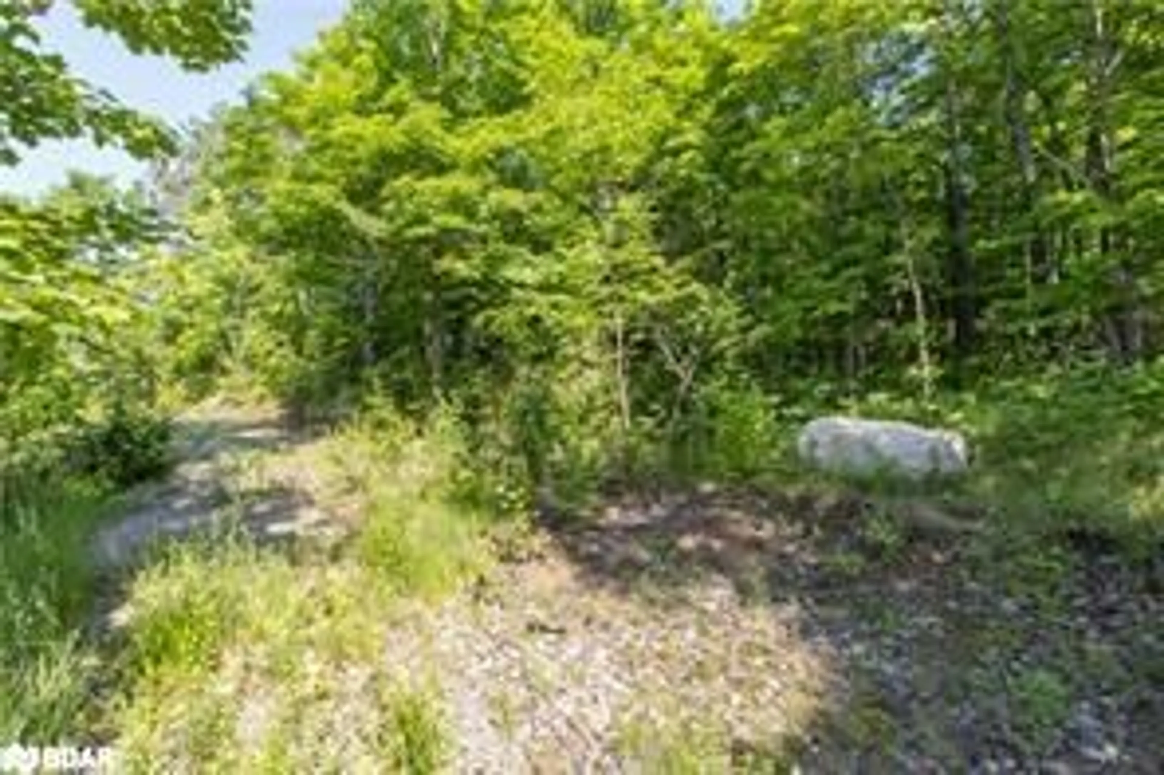 Forest view for 56 Dauncy Rd, Magnetawan Ontario P0A 1P0