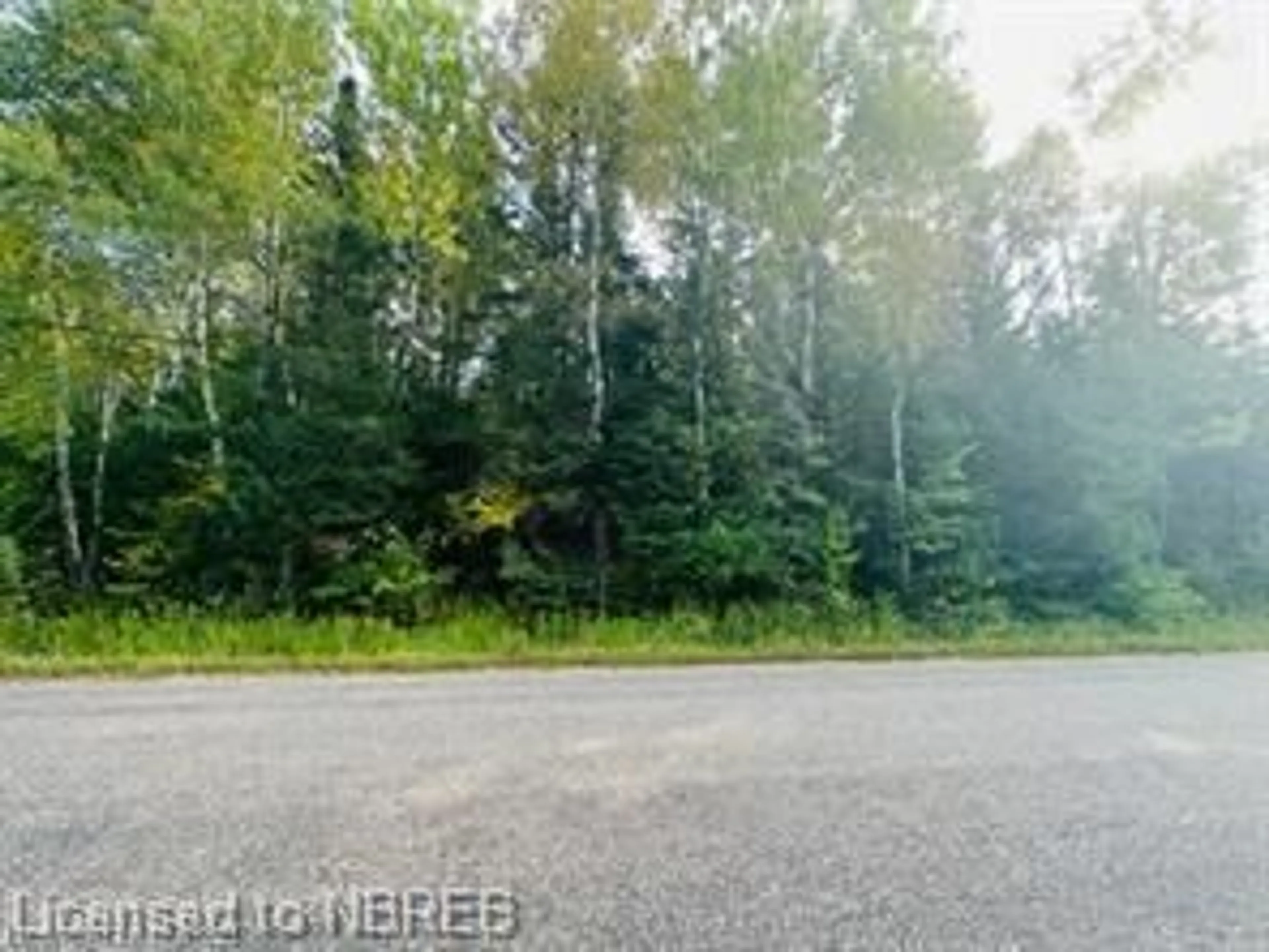 Forest view for LOT 21 CON 13 Golf Course Rd, Chisholm Ontario P0H 1B0