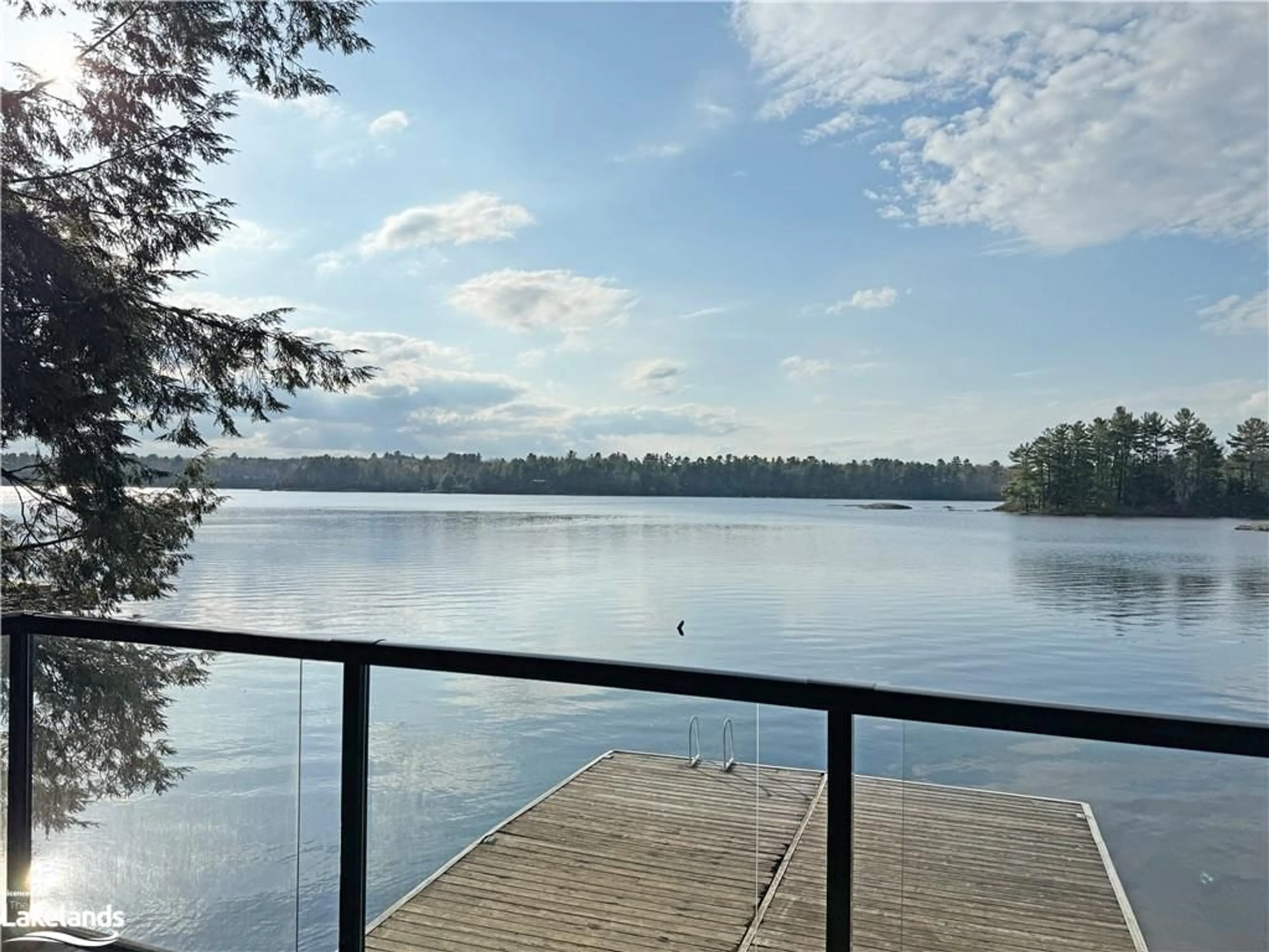 Lakeview for 1036 Phyllimar Lane, Port Carling Ontario P0B 1J0