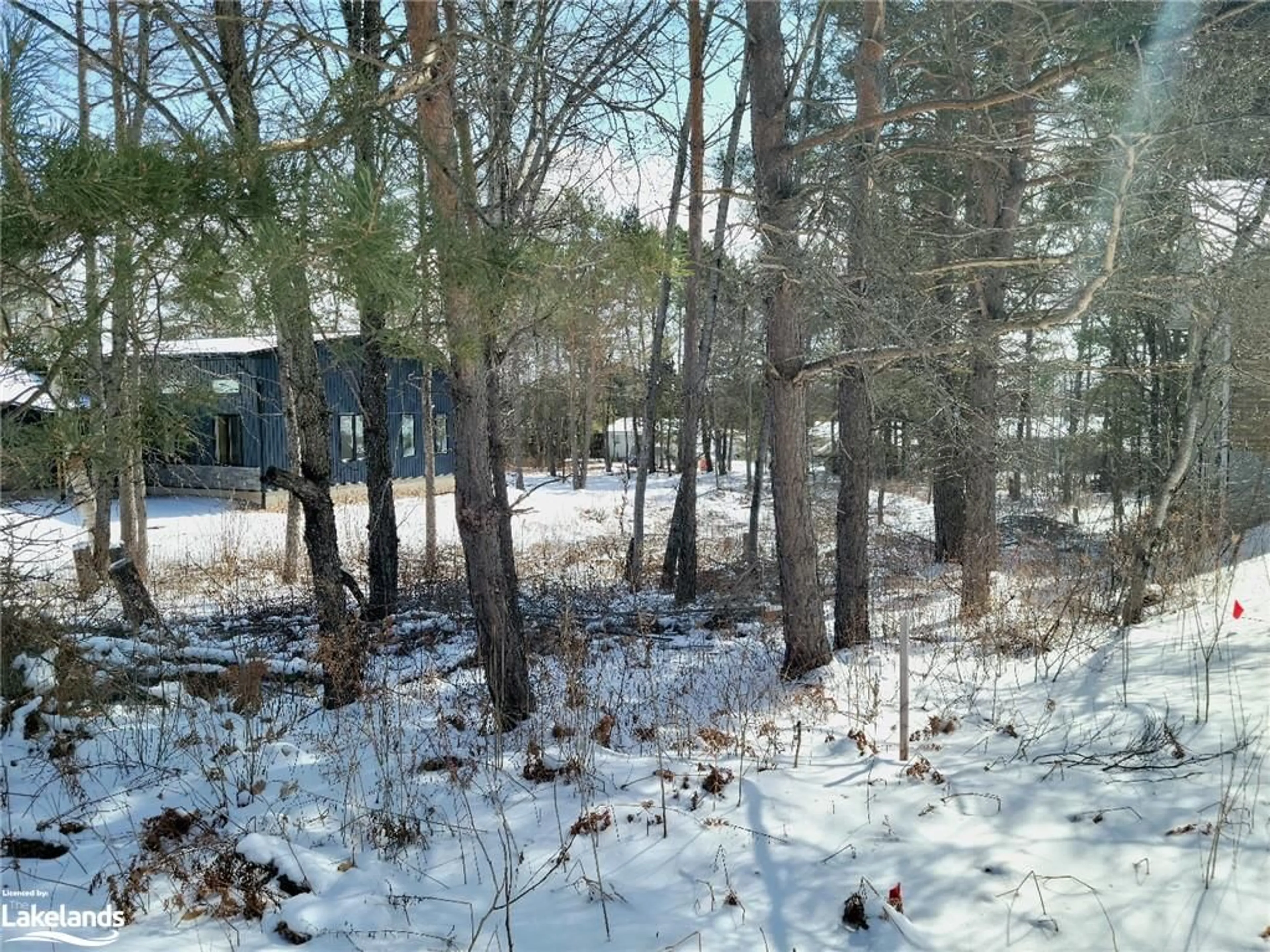 Forest view for 9 Lang Crt, Sundridge Ontario P0A 1Z0