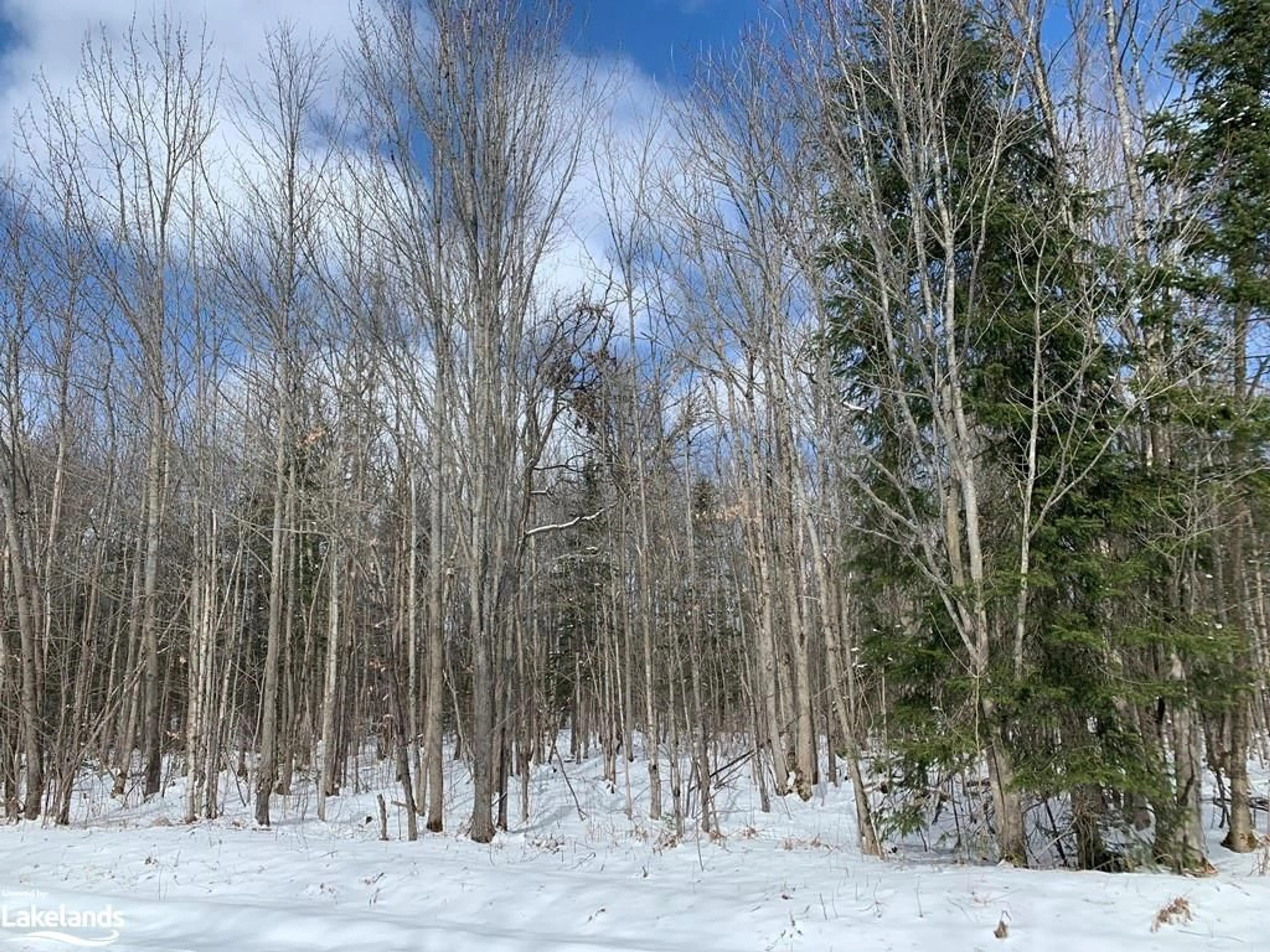 Forest view for 213 North Channel Camp Rd, Noëlville Ontario P0M 2N0