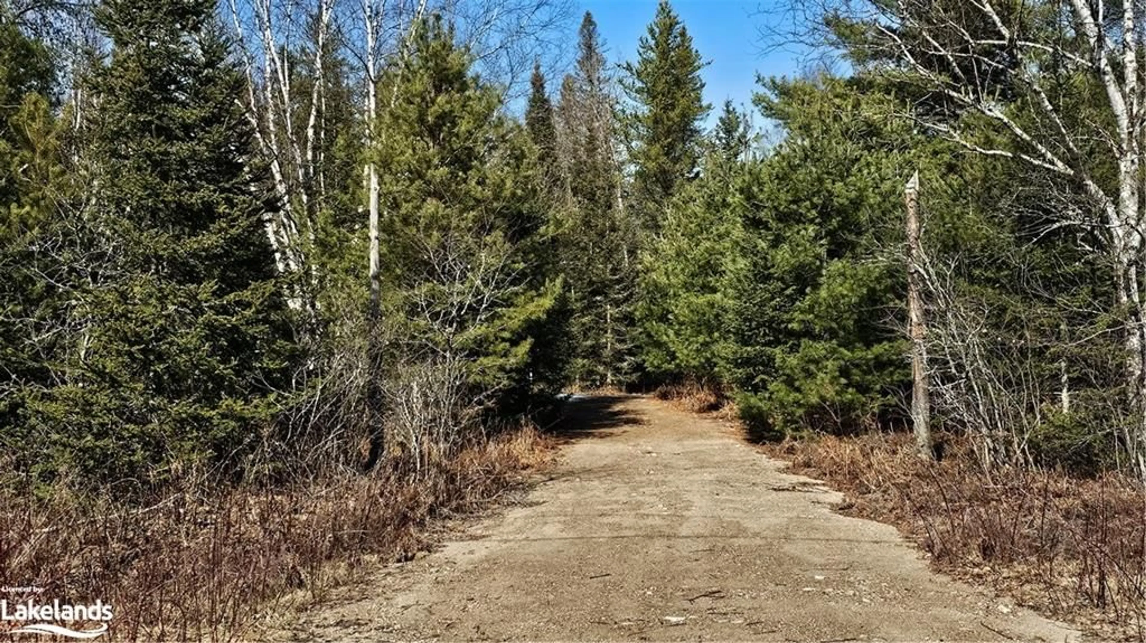 Forest view for 524 Airport Rd, South River Ontario P0A 1X0