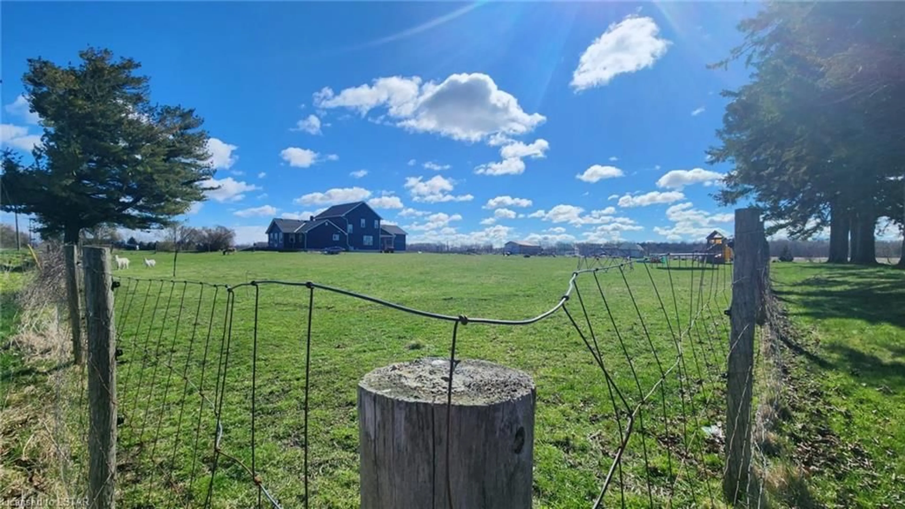 Fenced yard for 22939 Queens Line, Rodney Ontario N0L 2C0
