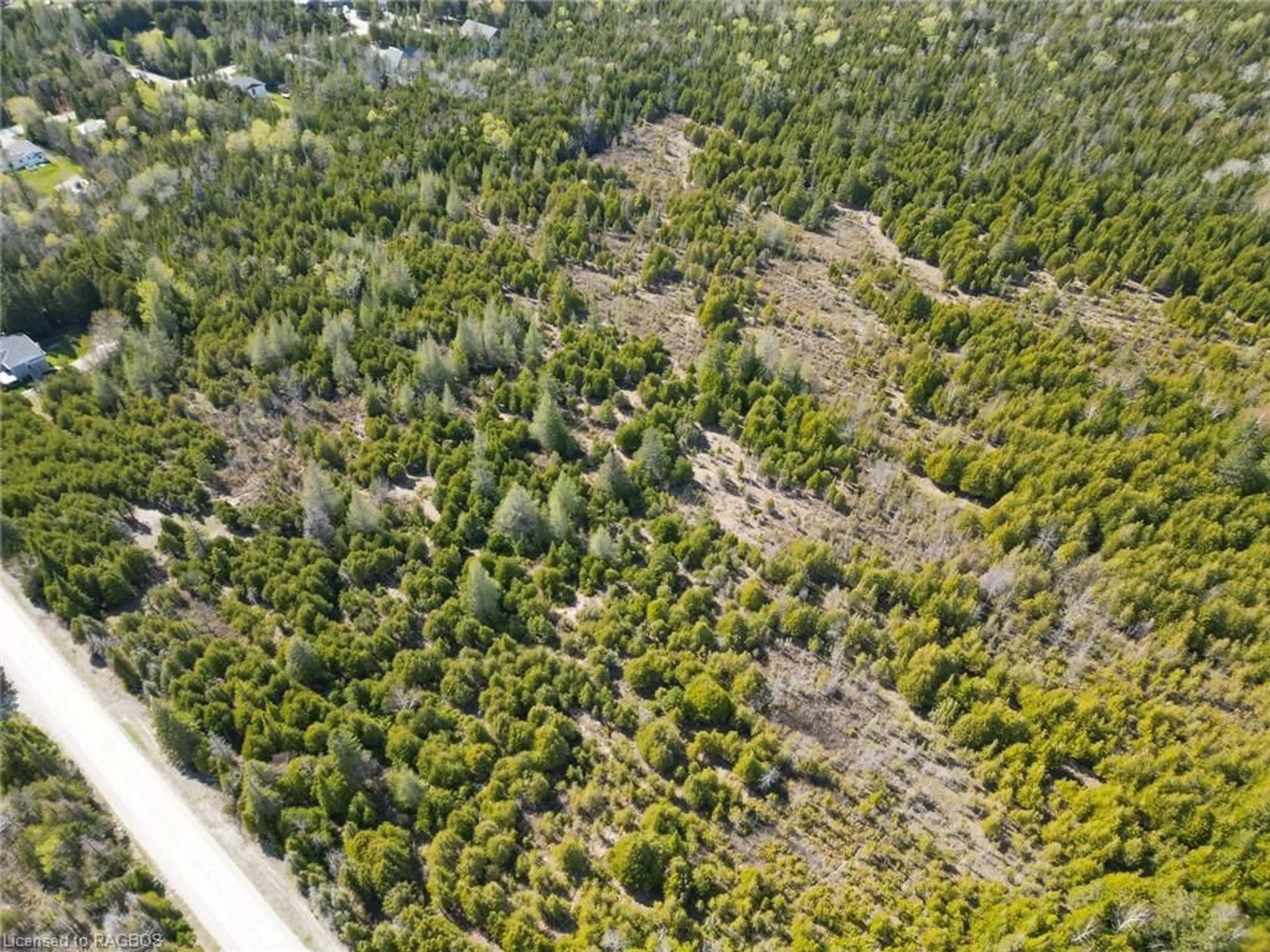 Forest view for PT LT 2 Concession 4 Wbr, Northern Bruce Peninsula Ontario N0H 2T0