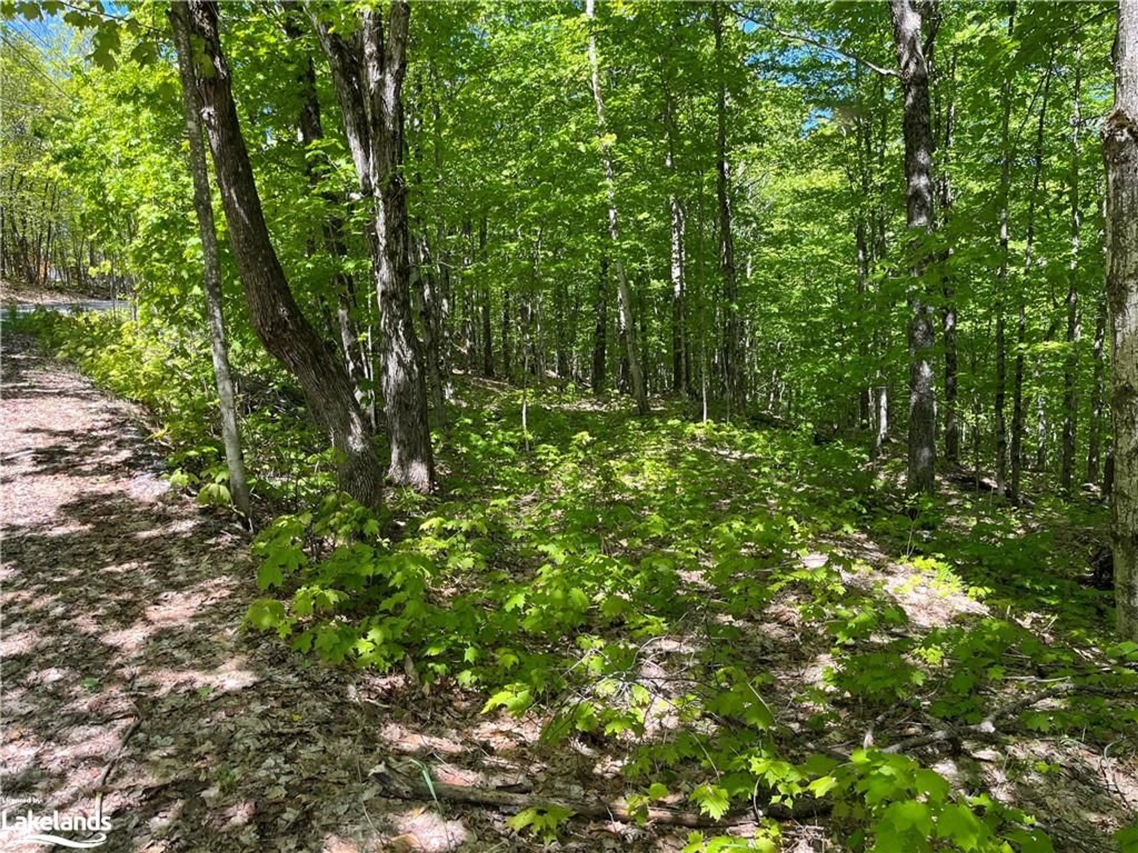 Forest view for LOT 40 Sunset Ridge, Huntsville Ontario P1H 2J2