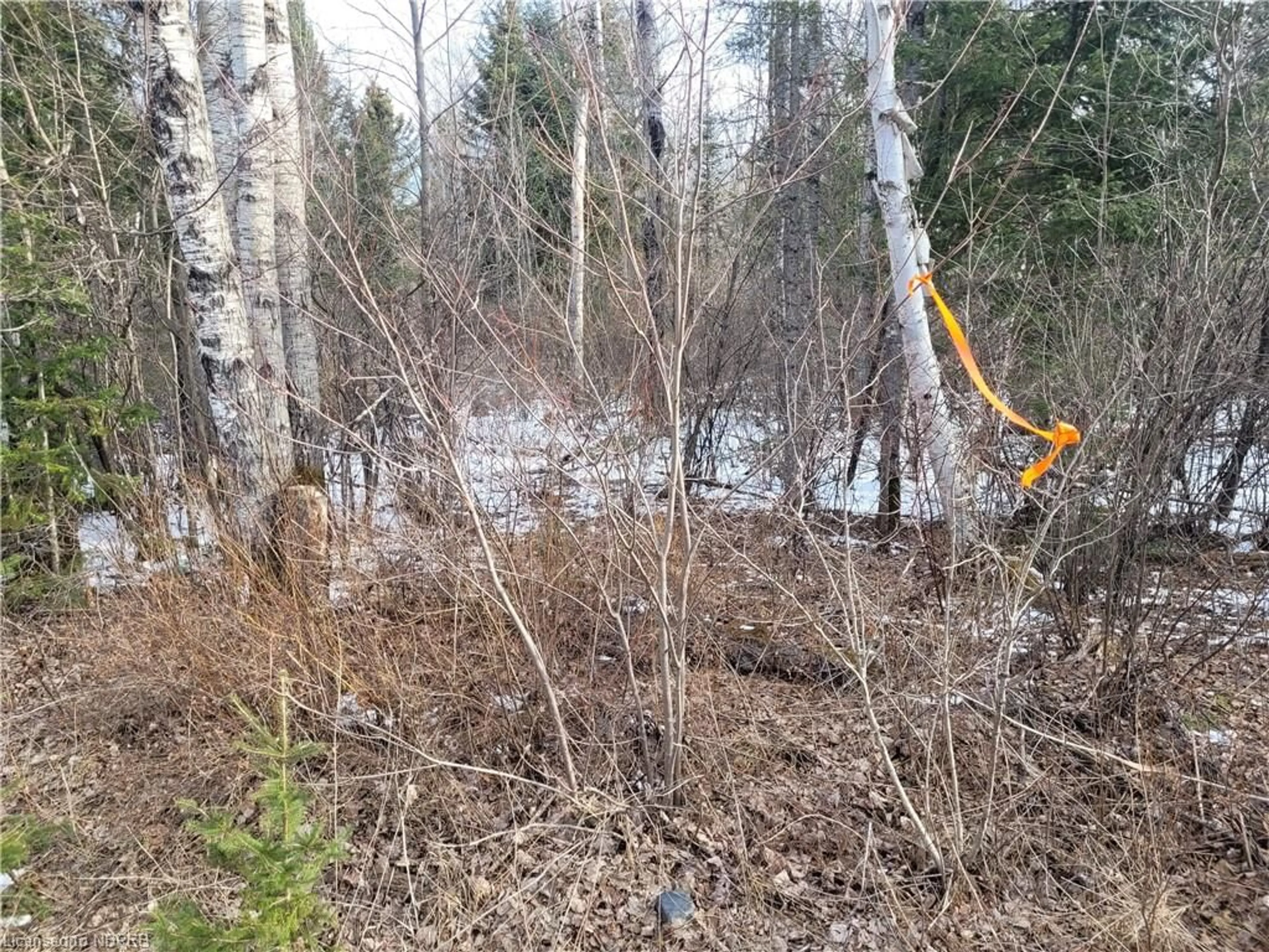 Home with unknown exterior material for LOT33 CON 6 PAR Hwy 533, Mattawa Ontario P0H 1V0