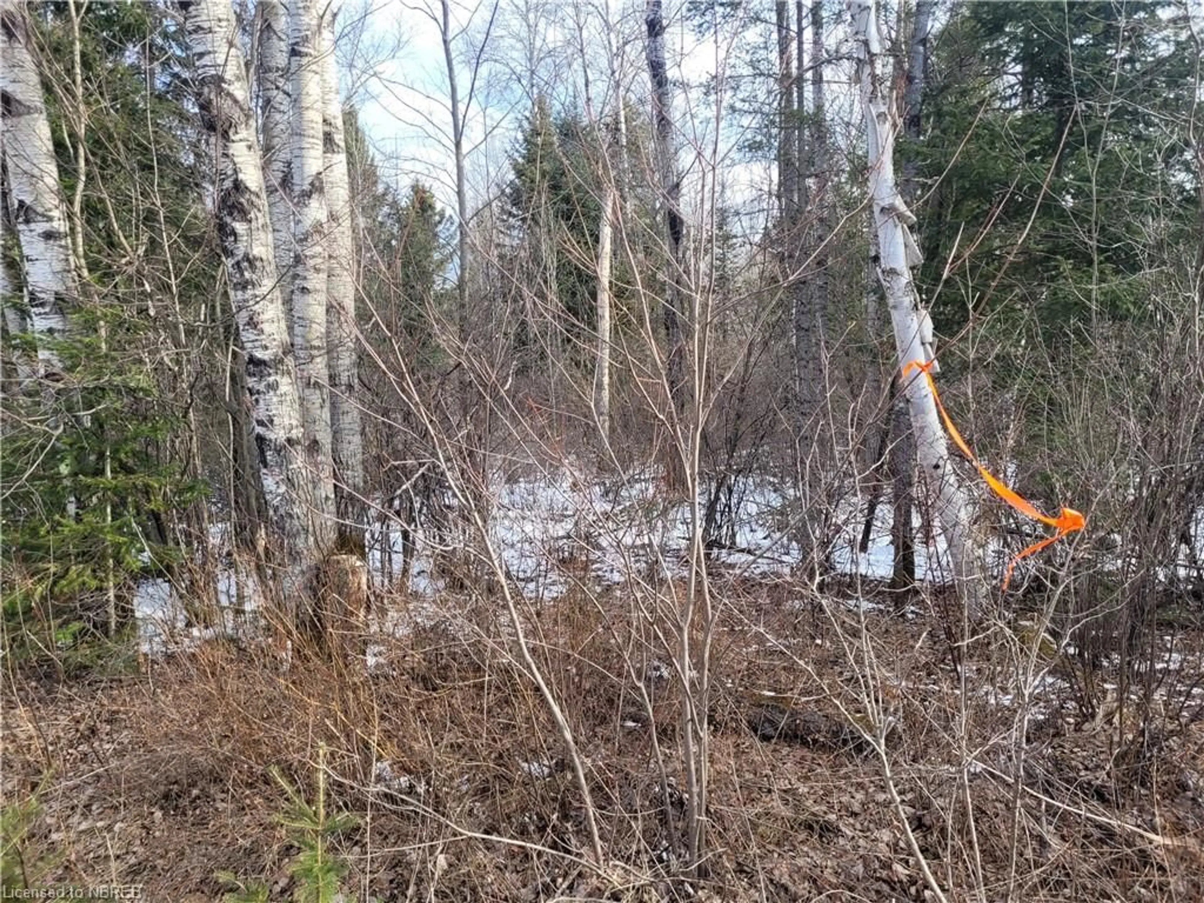 Home with unknown exterior material for LOT33 CON6 PART Hwy 533, Mattawa Ontario P0H 1V0