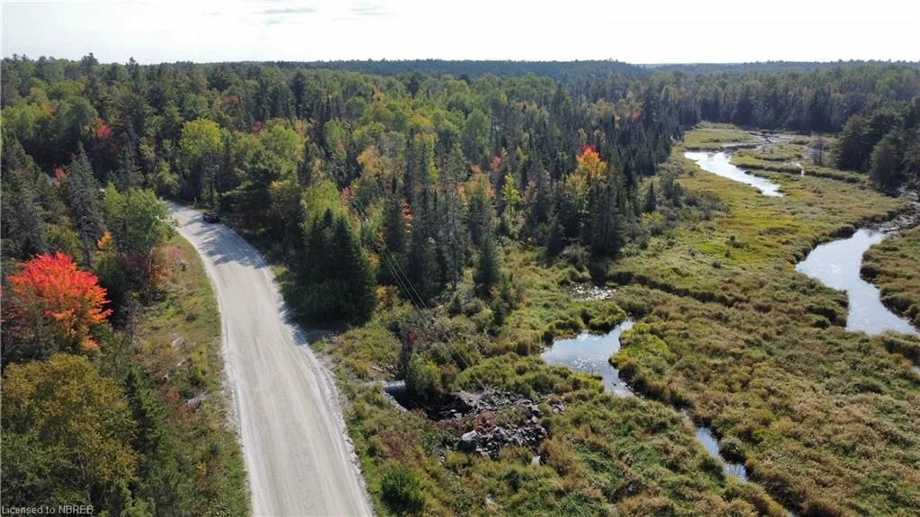 Forest view for PARTS 12, 13 &  Deer Lake Rd, Warren Ontario P0H 2N0