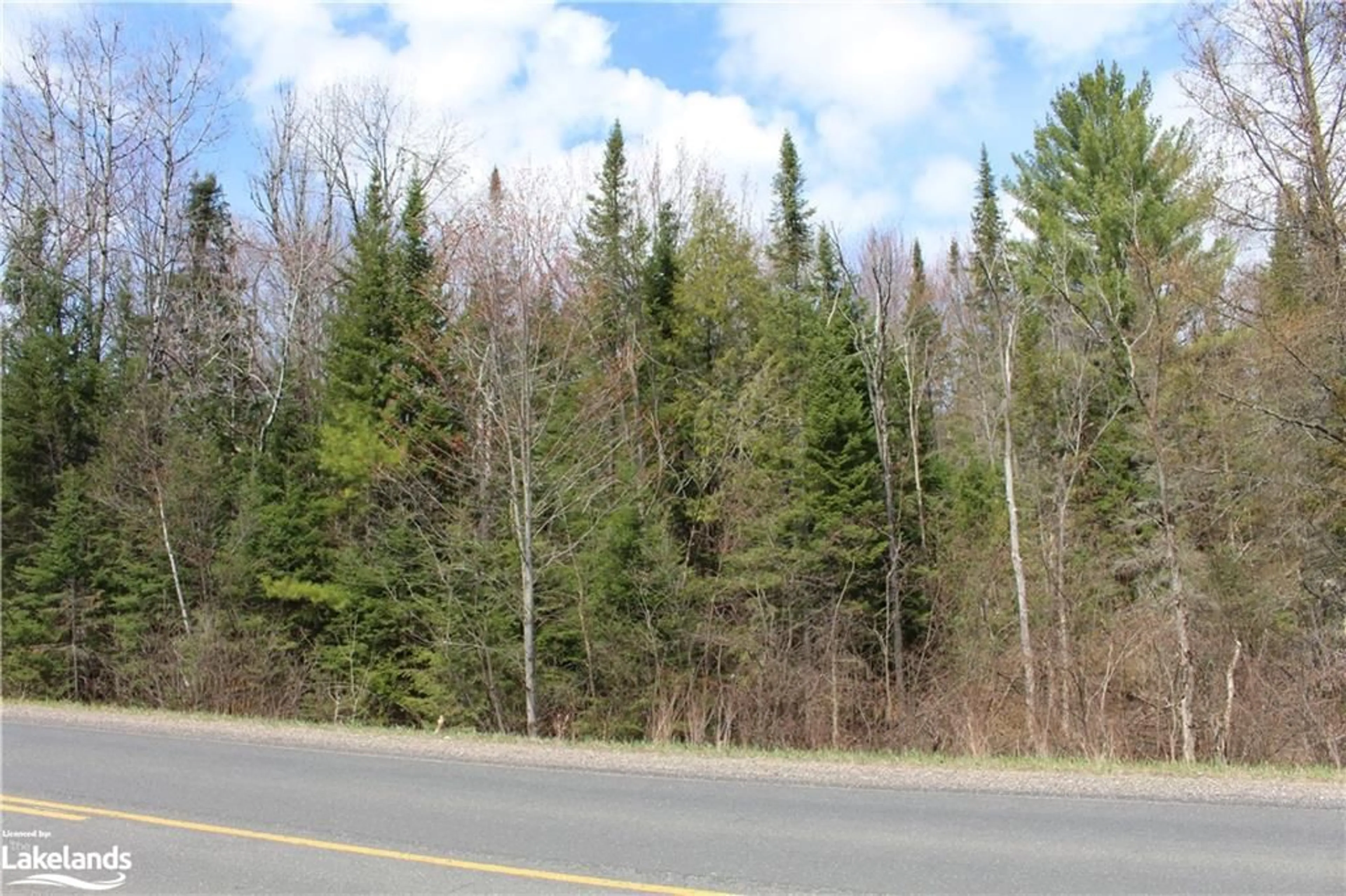 Forest view for 0 Gelert Rd, Minden Ontario K0M 2K0