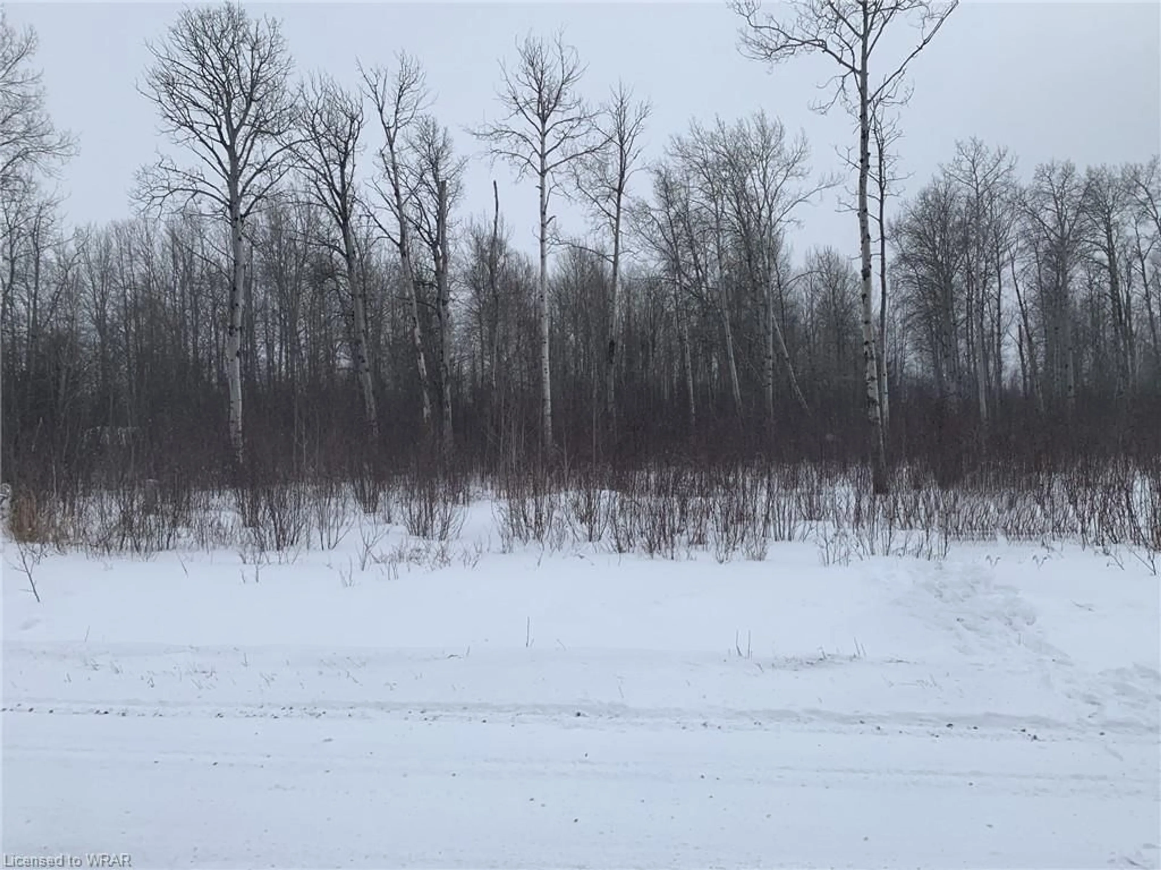 Forest view for LOT 16-19 Concession St, Timiskaming Ontario P0J 1B0
