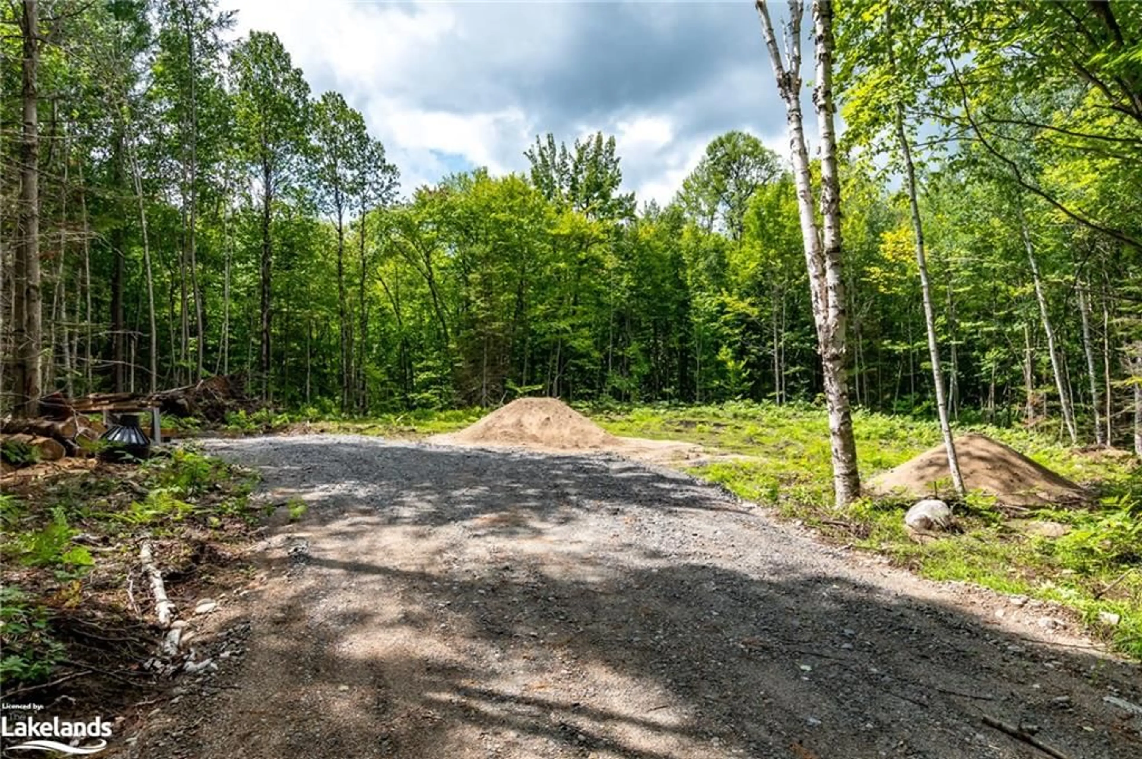Forest view for 1854 Old Muskoka Rd, Utterson Ontario P0B 1M0
