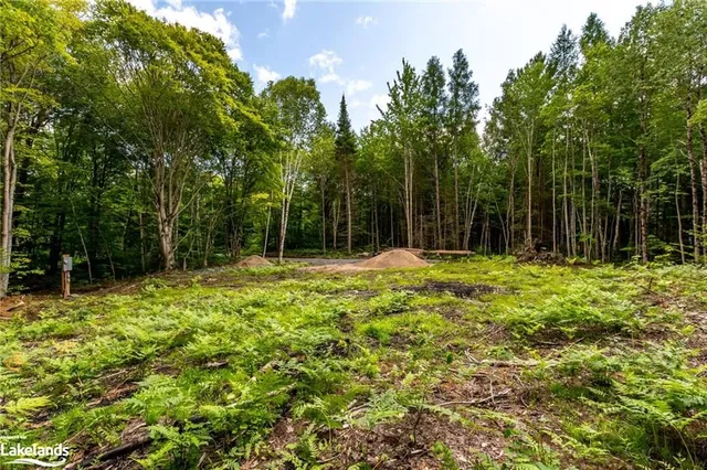 1854 Old Muskoka Rd, Utterson 4