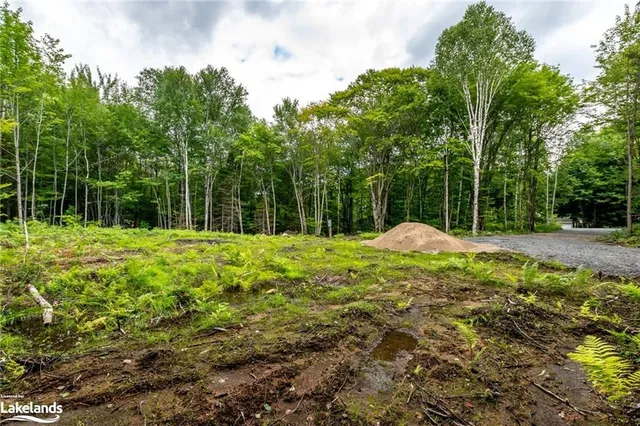 1854 Old Muskoka Rd, Utterson 5