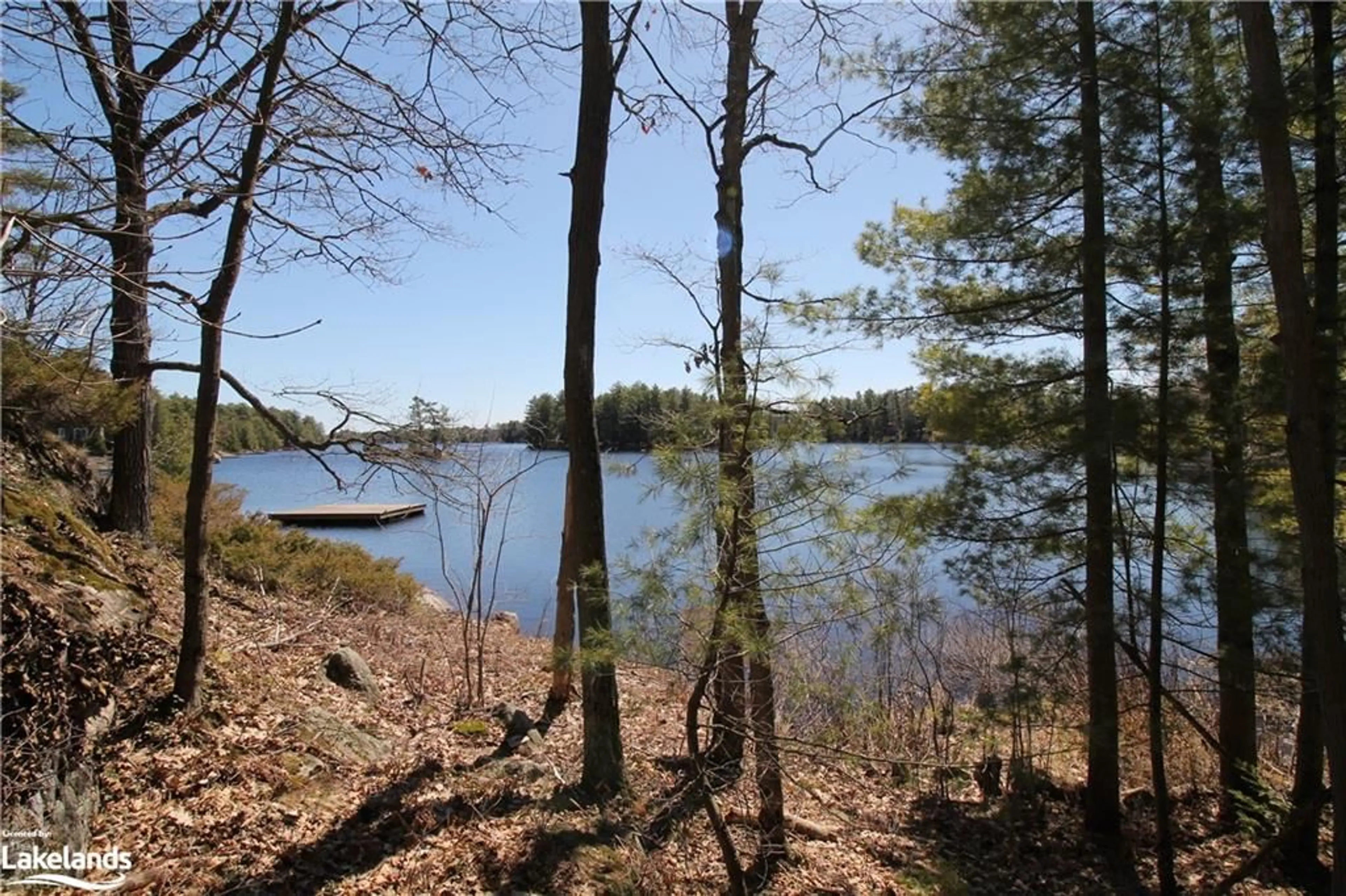 Forest view for 63 Loon Lake Rd, Gravenhurst Ontario P1P 0E5