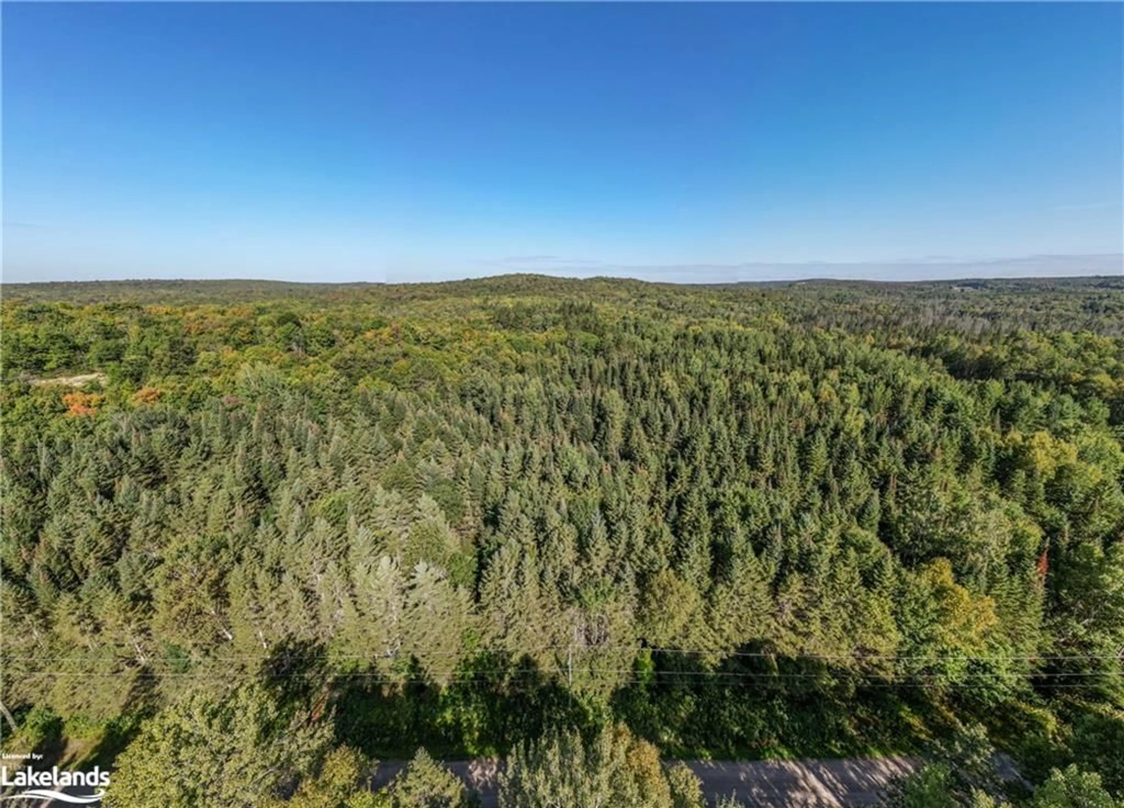 Forest view for LOT 3 Stoney Rd, Burk's Falls Ontario P0A 1C0