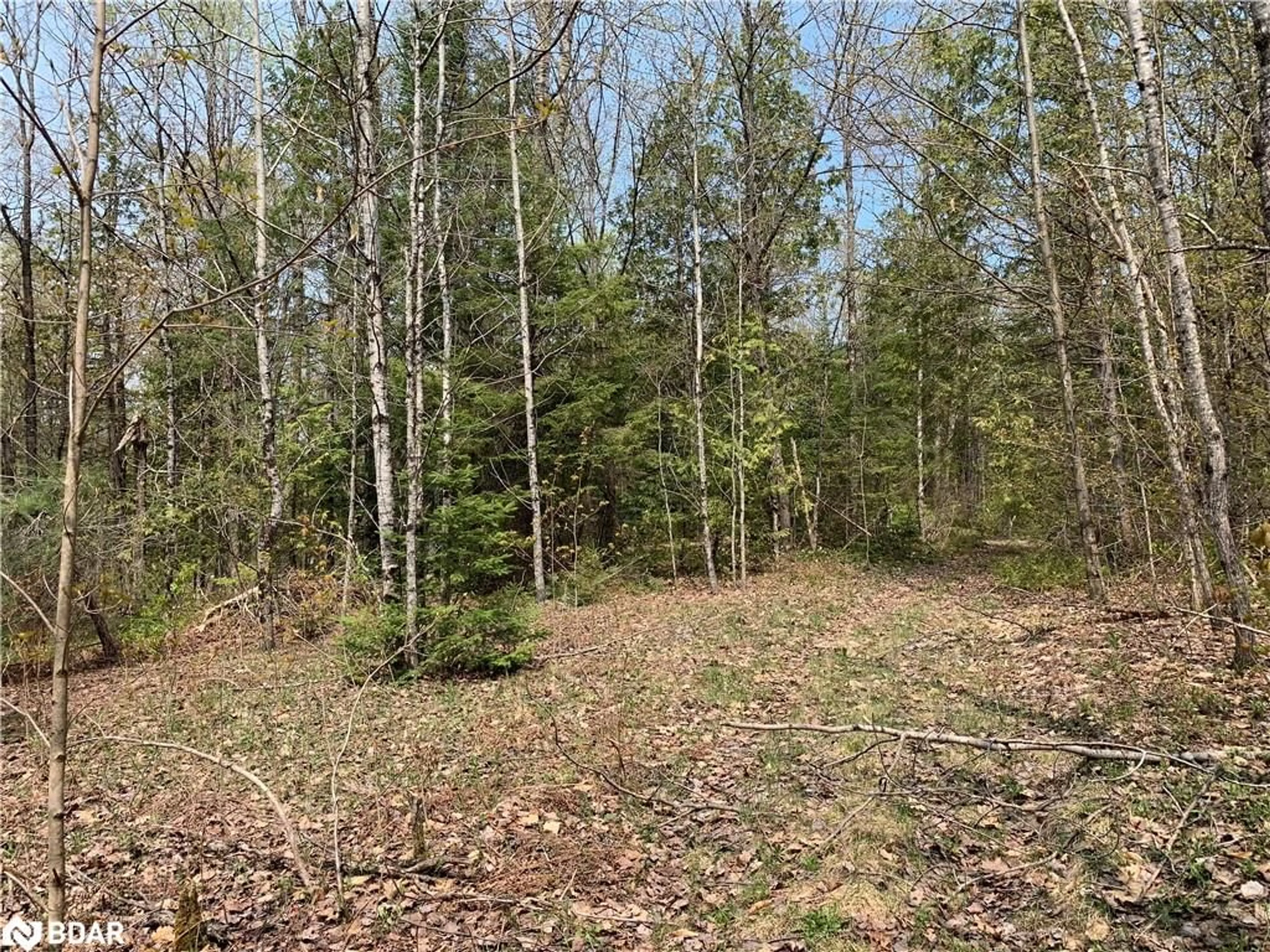 Forest view for 0 Johnson Rd, Apsley Ontario K0L 1A0