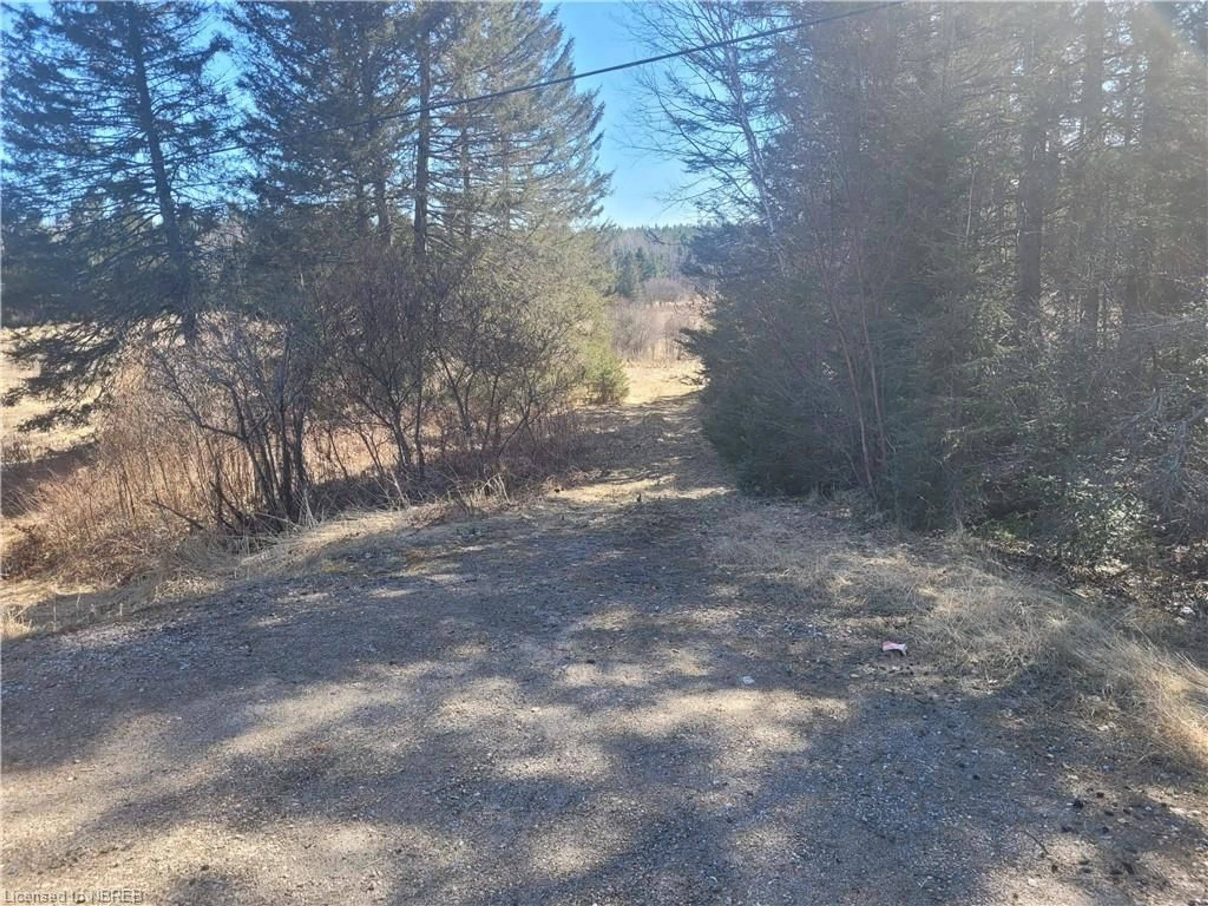 Forest view for PT 1 LOT 23 CON Hwy 630, Mattawa Ontario P0H 1V0