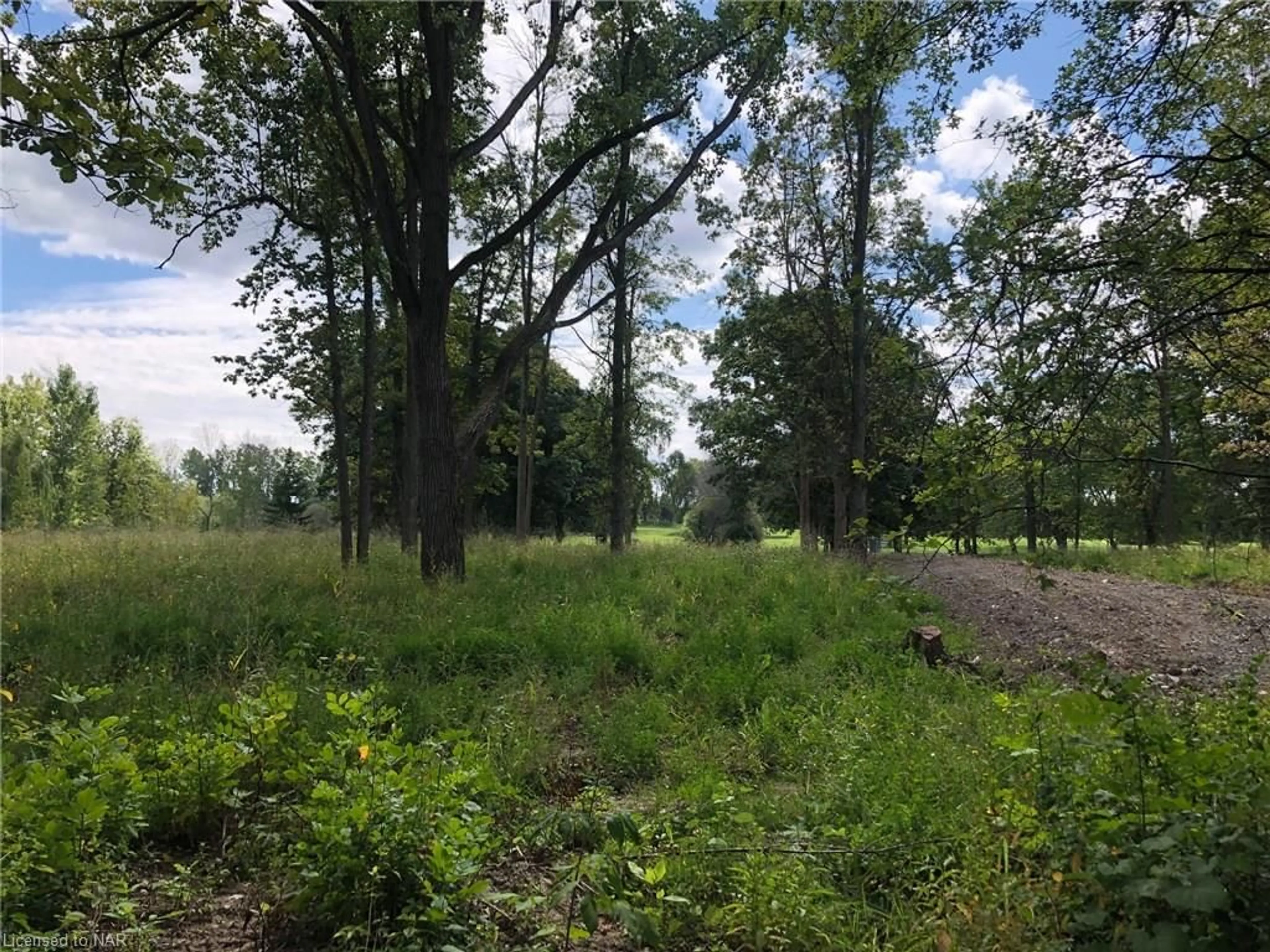 Forest view for LOT 7 Bertie St, Fort Erie Ontario L2A 5M4