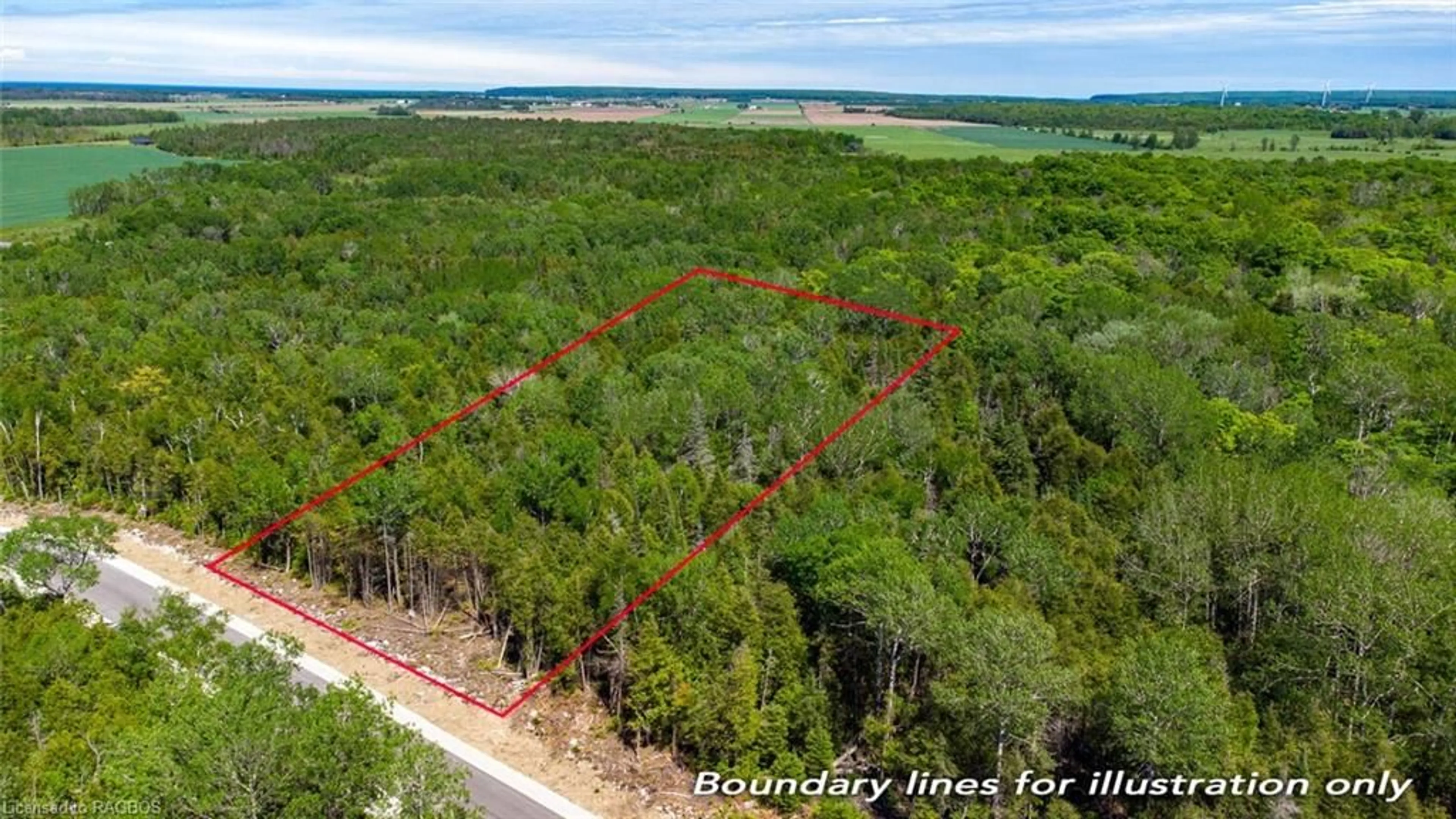 Forest view for LOT 5 Trillium Cross, Northern Bruce Peninsula Ontario N0H 1W0