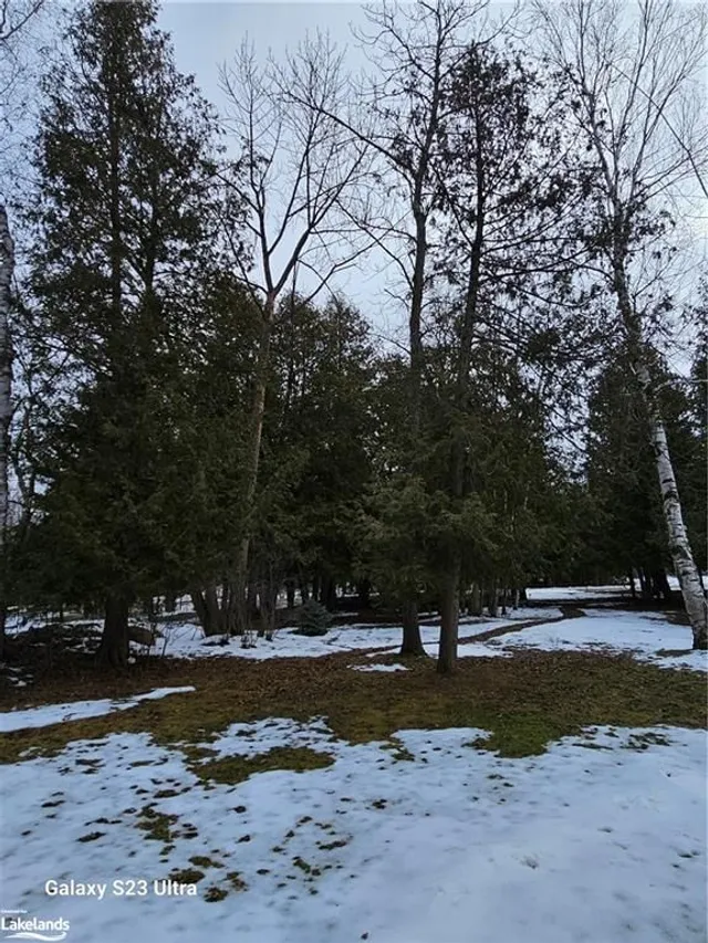 LOT 24 60 Robert St, Wasaga Beach 4