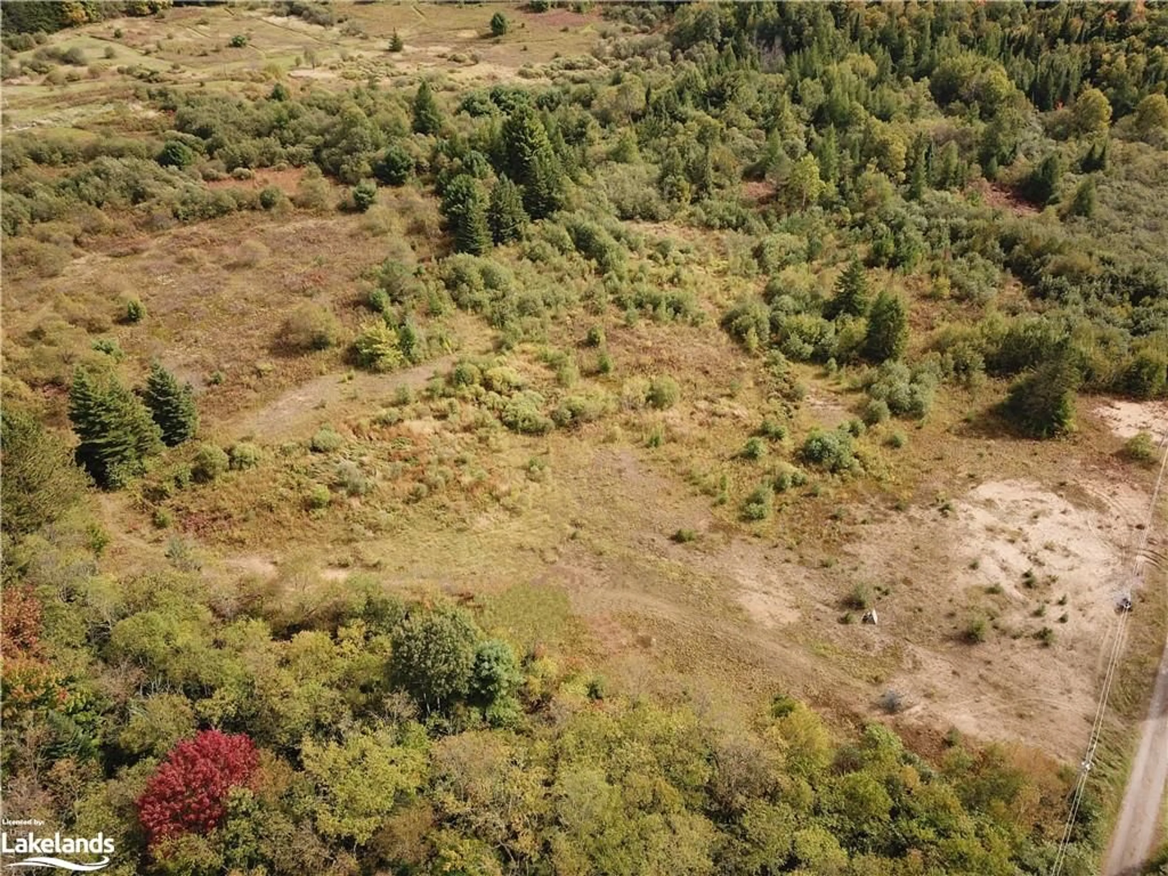 Forest view for 0 Highway 141, Utterson Ontario P0B 1M0