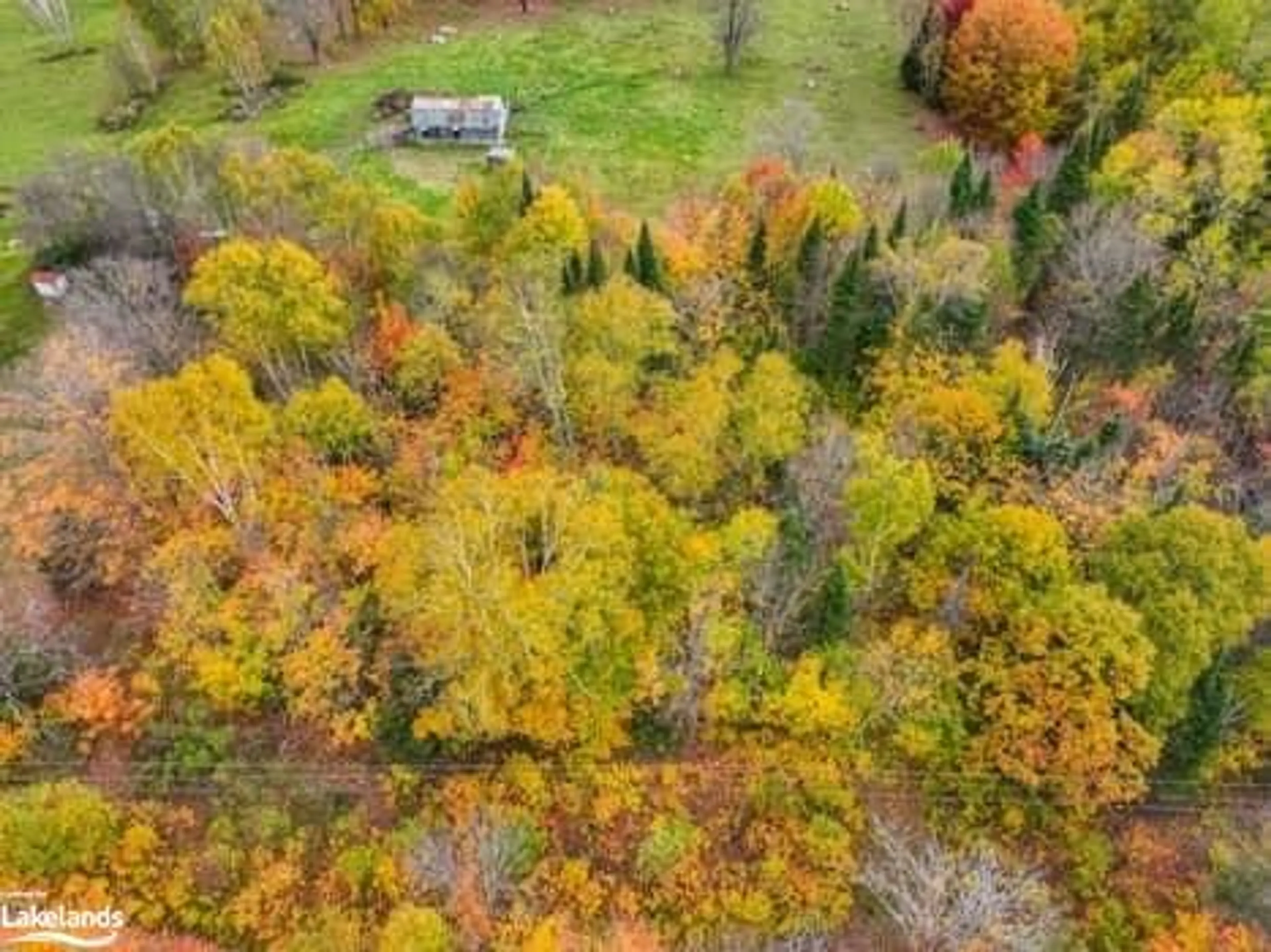 Forest view for 0 Clover Hill Rd, Magnetawan Ontario P0A 1Z0