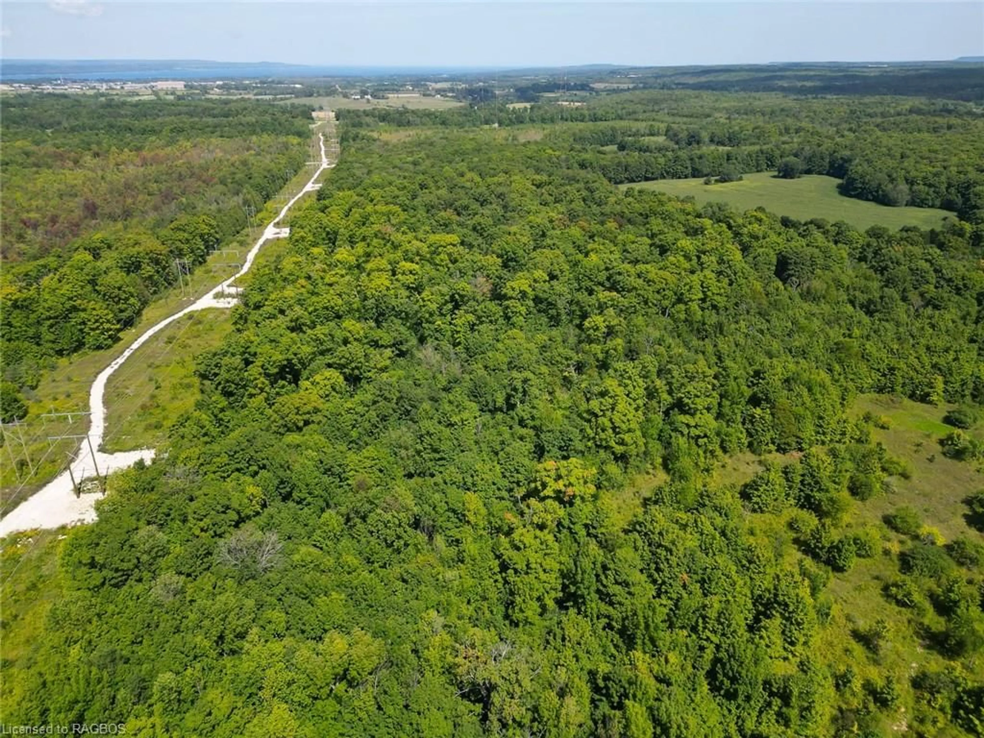Forest view for PT LT 12 Concession 12 Sydenham, Meaford Municipality Ontario N4K 5N6
